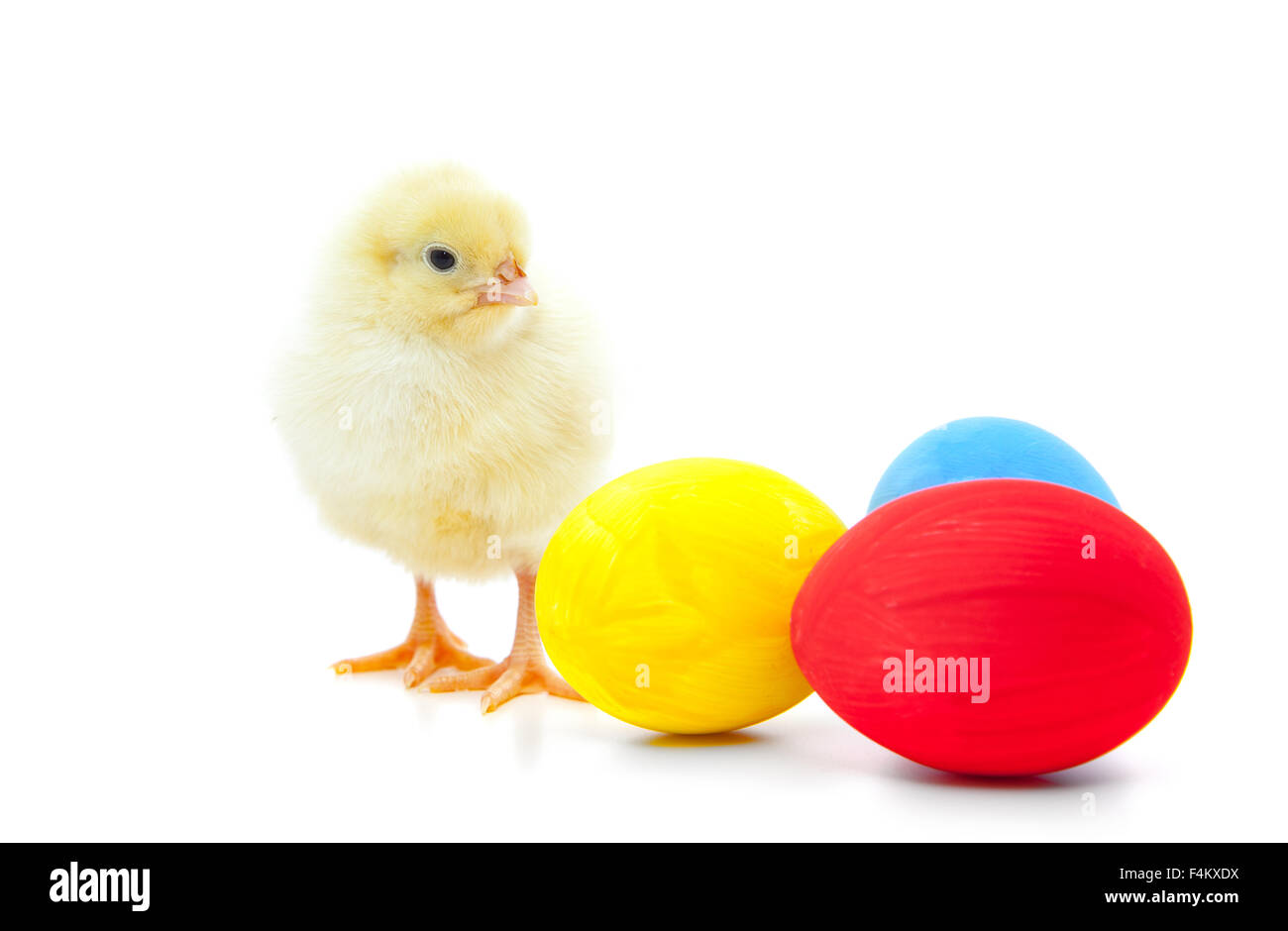 Cute little chick. All on white background Stock Photo - Alamy