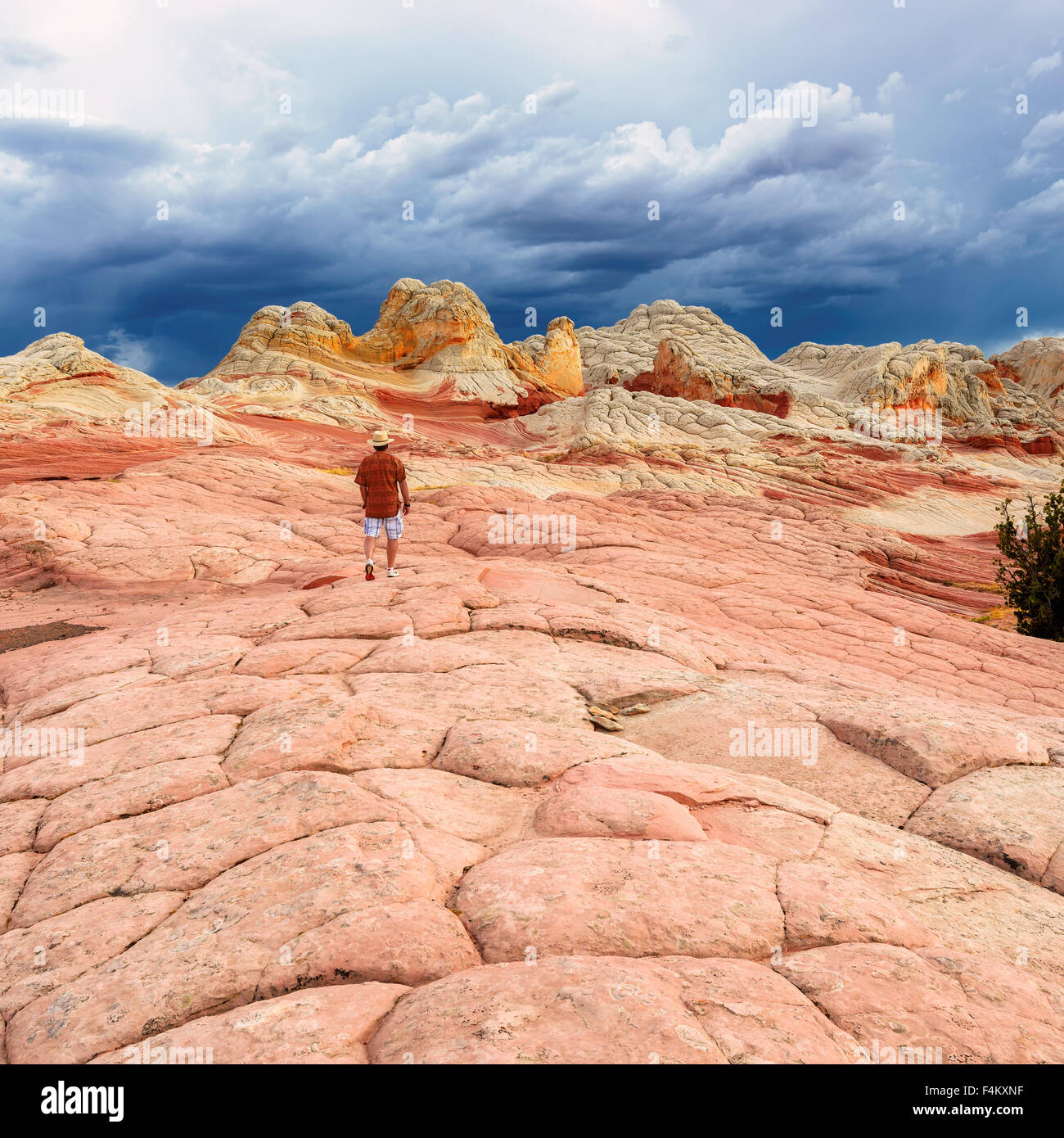 A man away from camera to mountains on the Plateau White Pocket in Northern Arizona Stock Photo