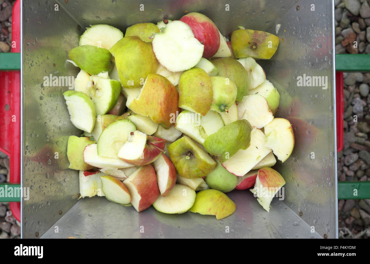 apple harvest uk stock