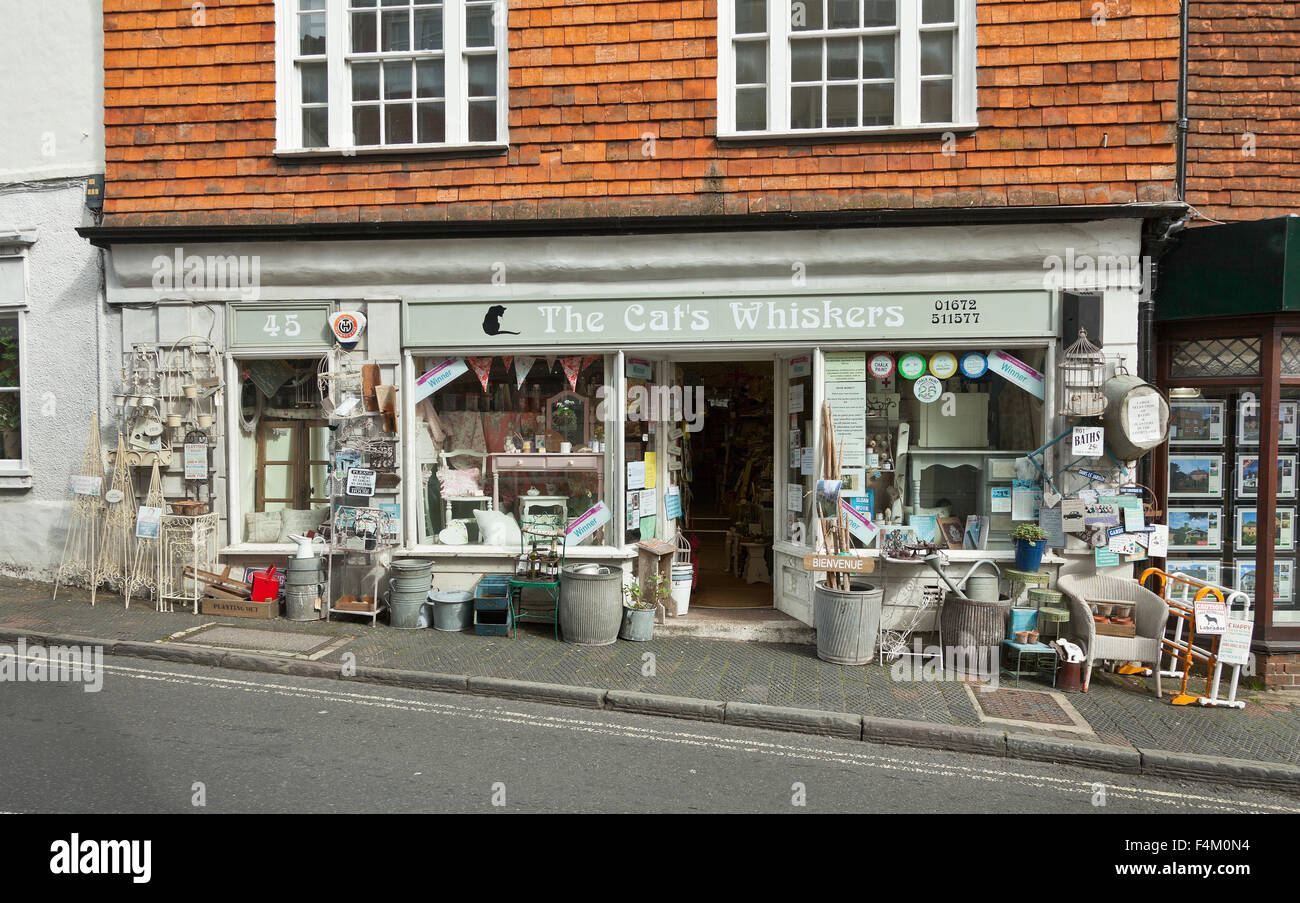 The Cats Whiskers shop, Marlborough, UK Stock Photo