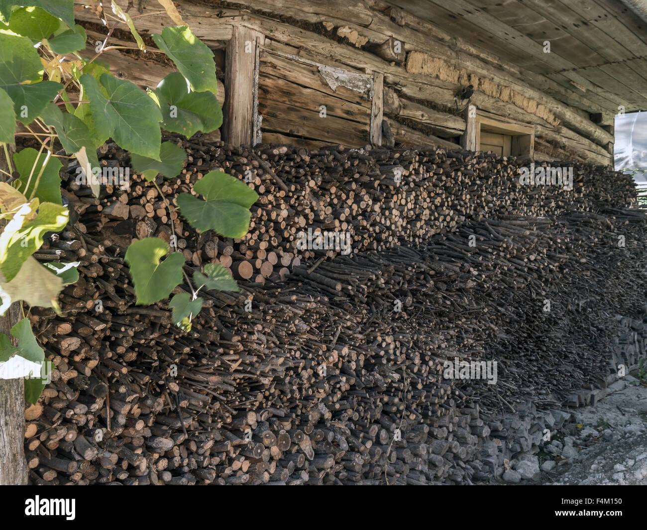 Pile of chopped firewood stored under the shelter Stock Photo