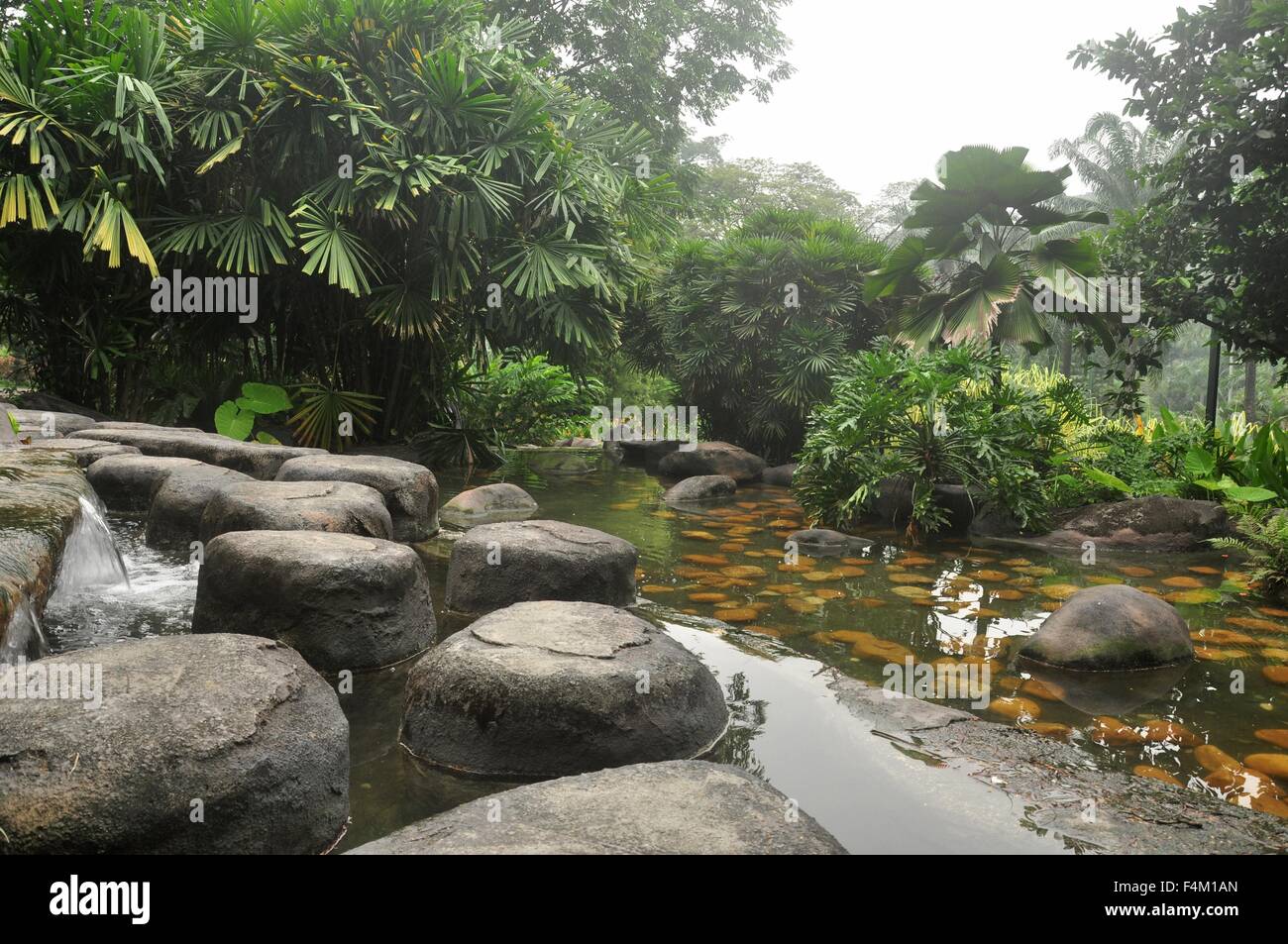 tropical jungle in kuala lumpur malaysia Stock Photo