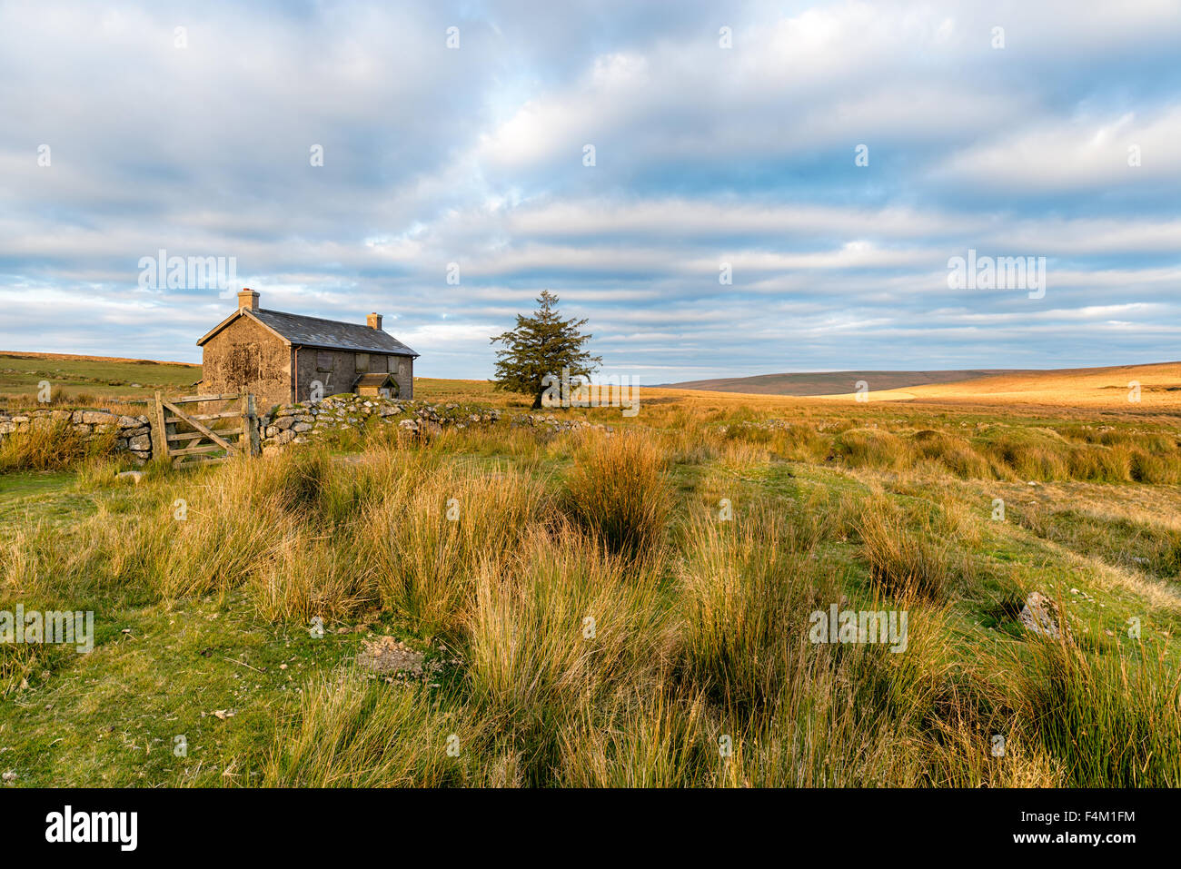 A beautiful old abandoned cottage at Nun's Cross near Princetown on Dartmoor National Park in Devon Stock Photo