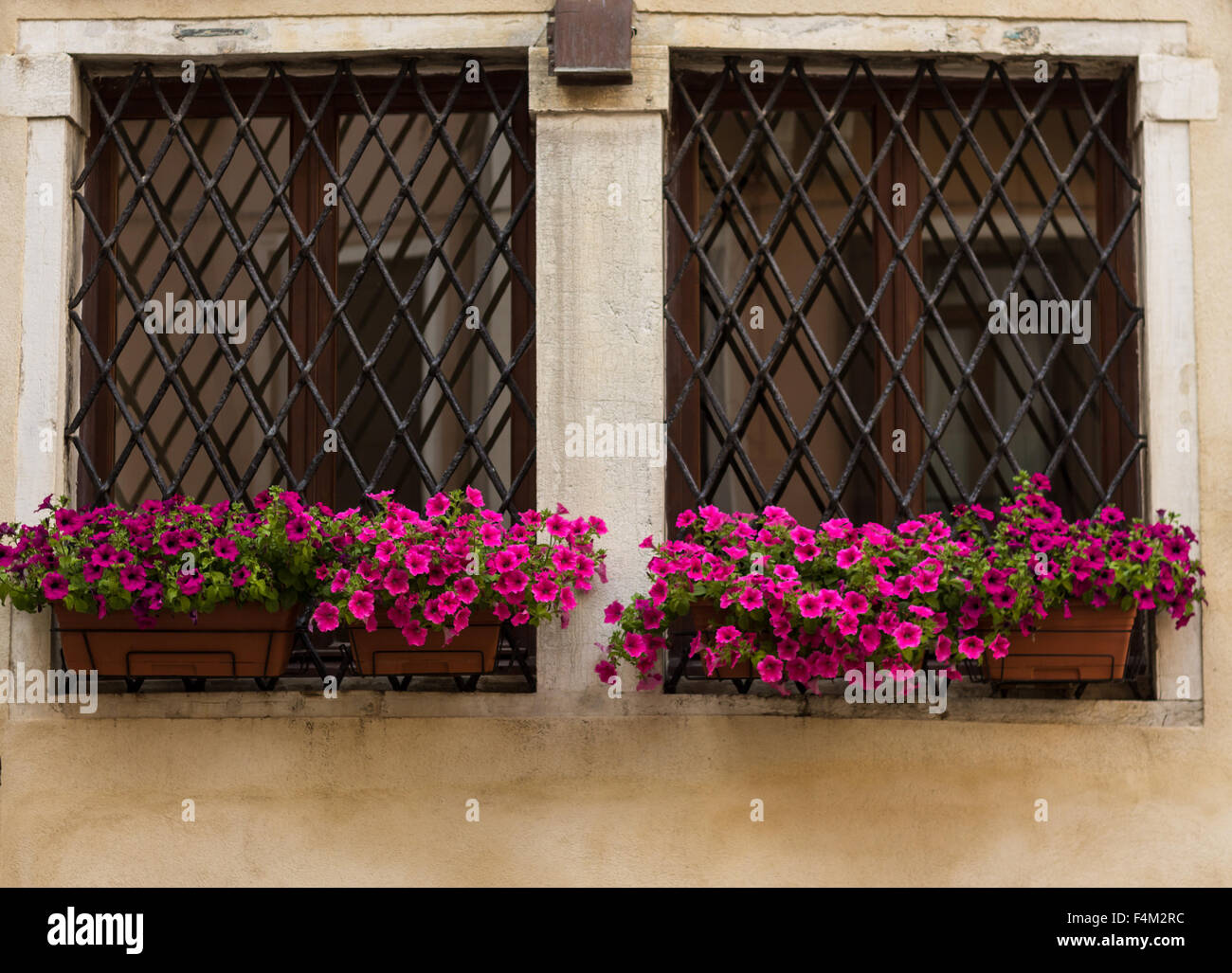 Window boxes with pink flowers against black railings in Venice Stock Photo