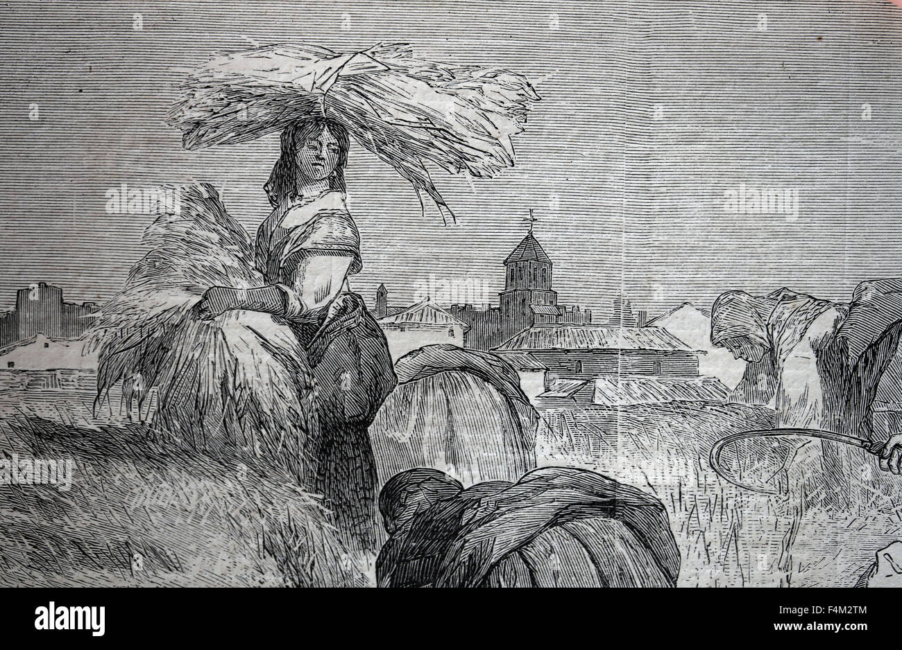 Europe. Spain. Spanish customs. Harvest. Drawing by Valeriano Becquer and engraving by Rico. Almanac. The Illustration, Spain. Stock Photo