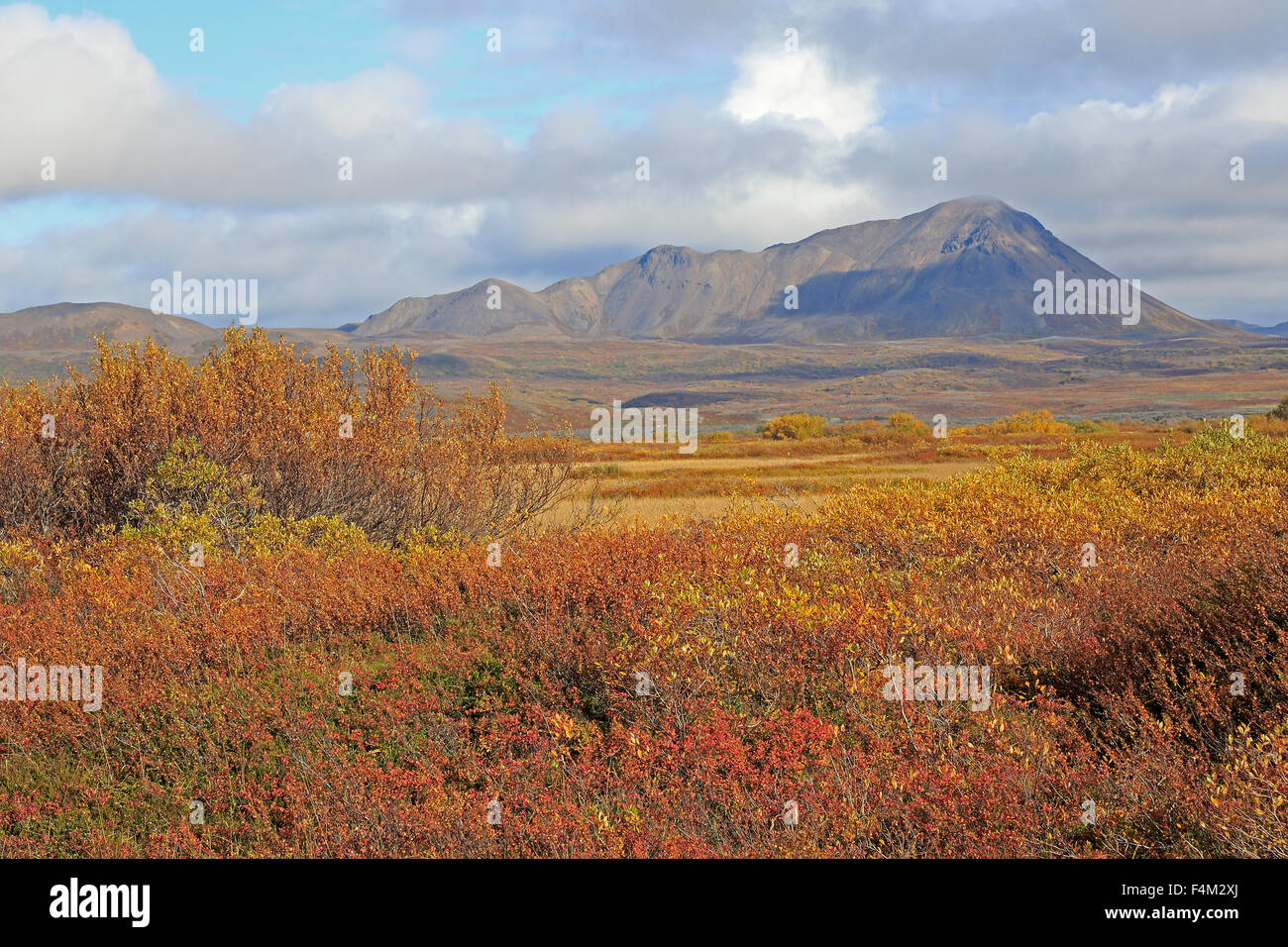 View in autumn of the general area around Lake Myvatn Iceland Stock Photo