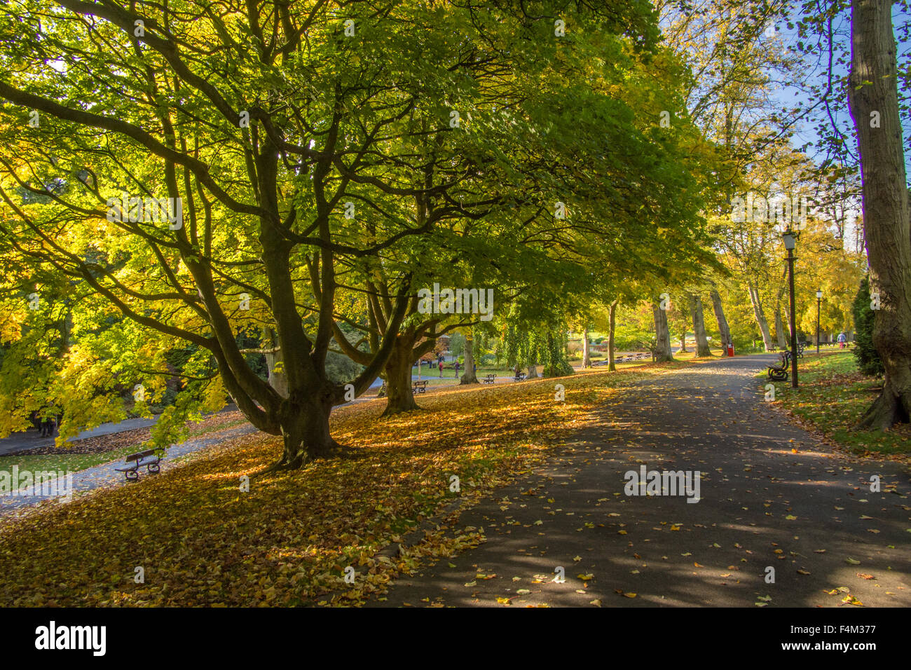 Valley Gardens, Harrogate, a Spa Town, North Yorkshire, England Stock
