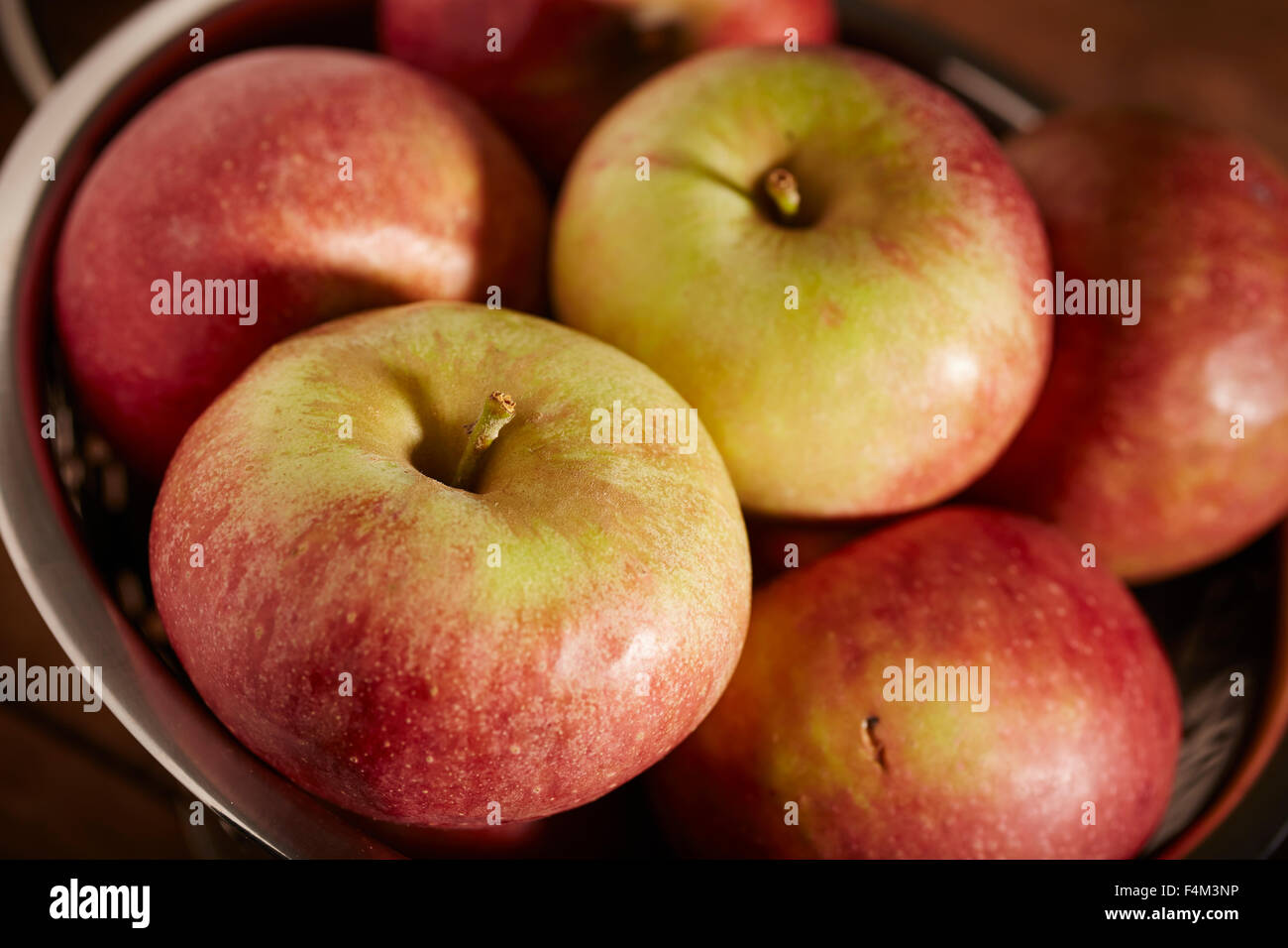 Stayman Apples, a classic American variety Stock Photo Alamy