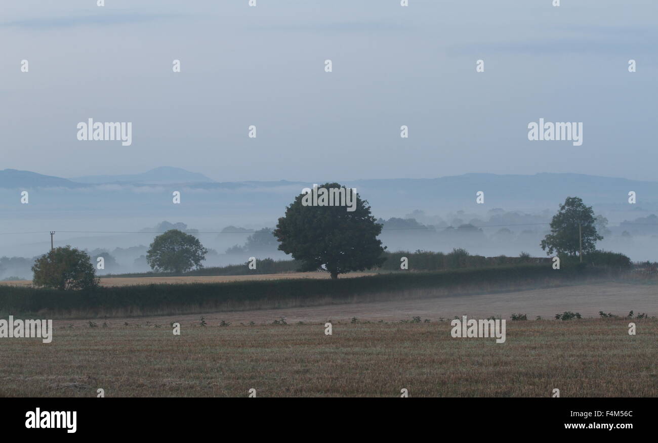 Carse of gowrie scotland hires stock photography and images Alamy