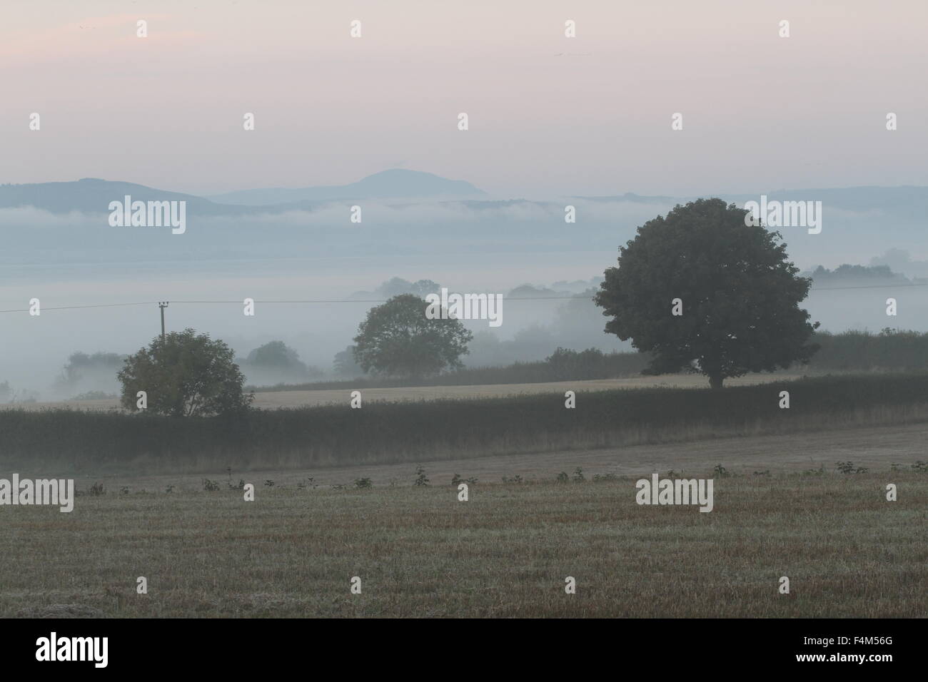 Trees and fields in Fog Carse of Gowrie Perthshire Scotland October