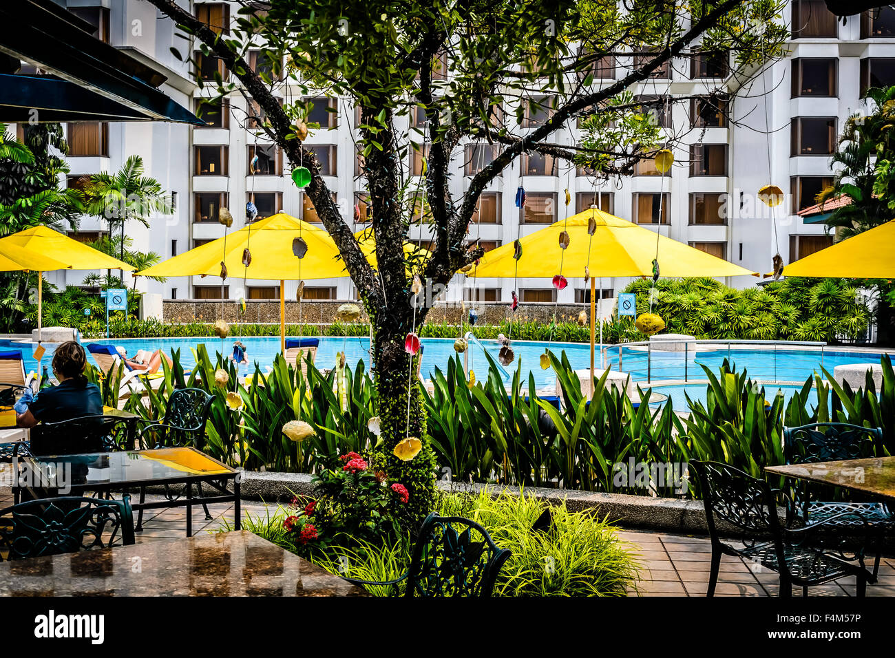 Deck chairs and umbrellas beside swimming pool Stock Photo Alamy