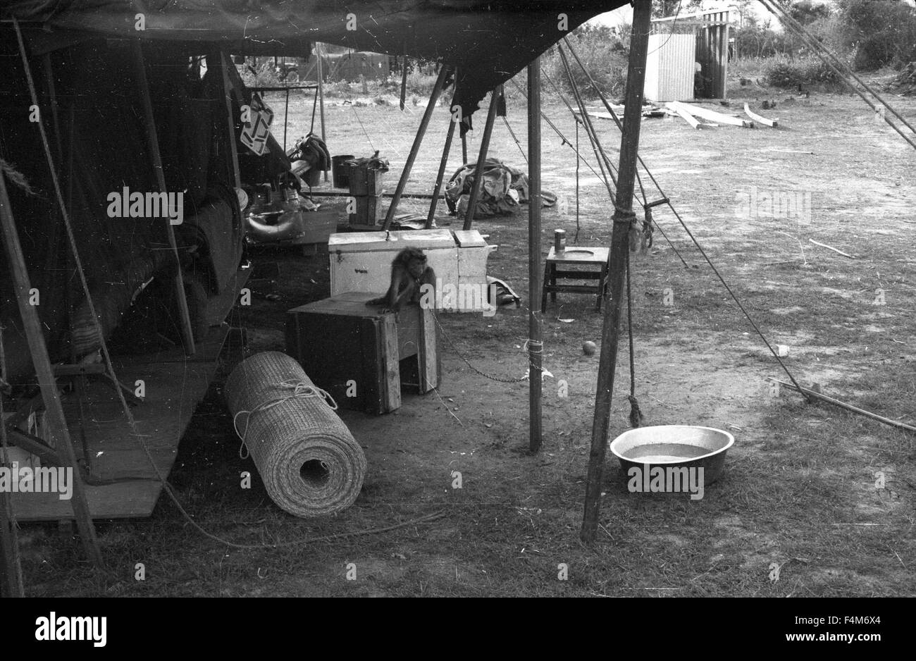Tents at a First Infantry Division base camp in 1965 during the Vietnam War. Stock Photo