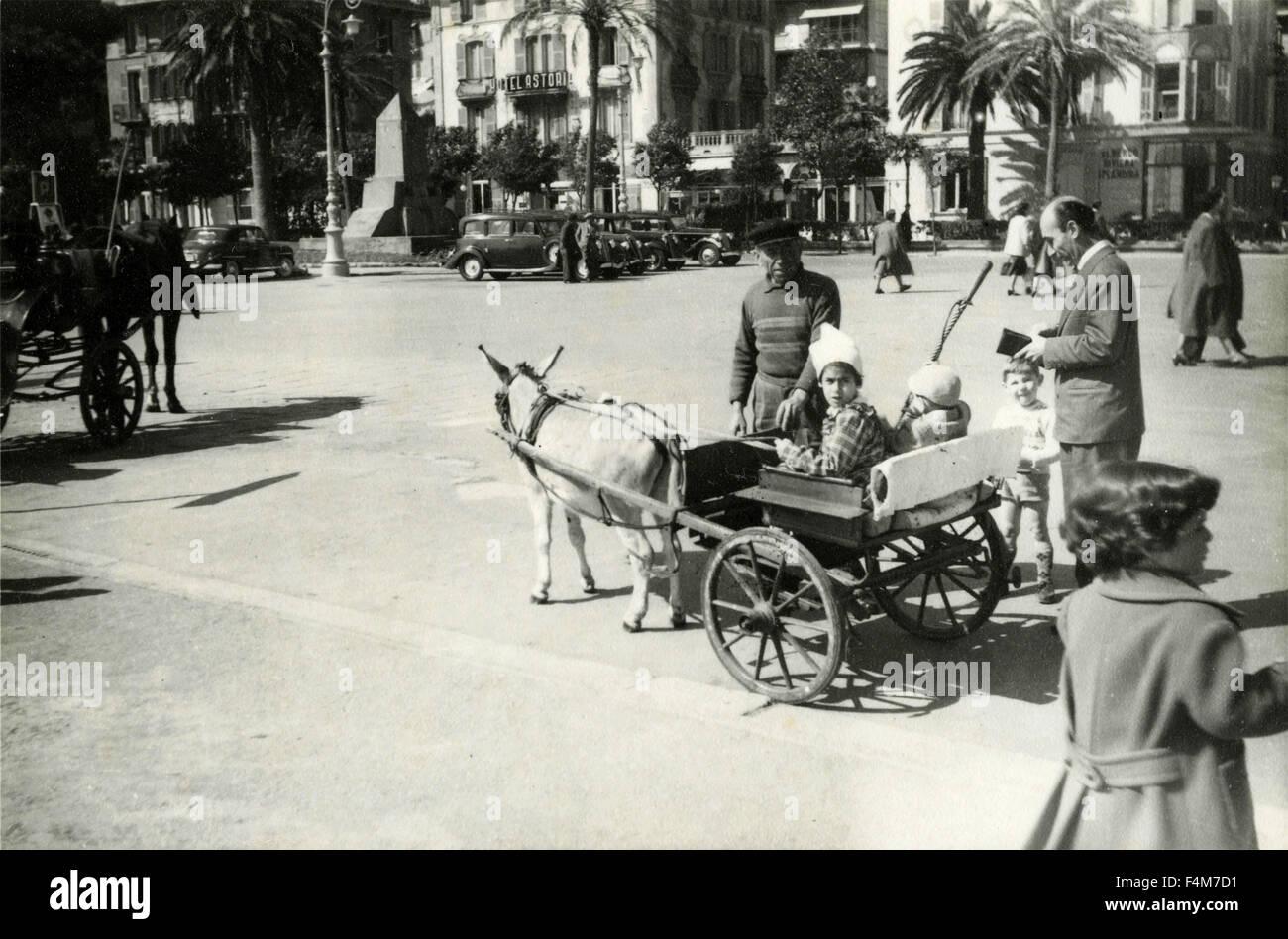 Donkey pulling trap, Italy Stock Photo