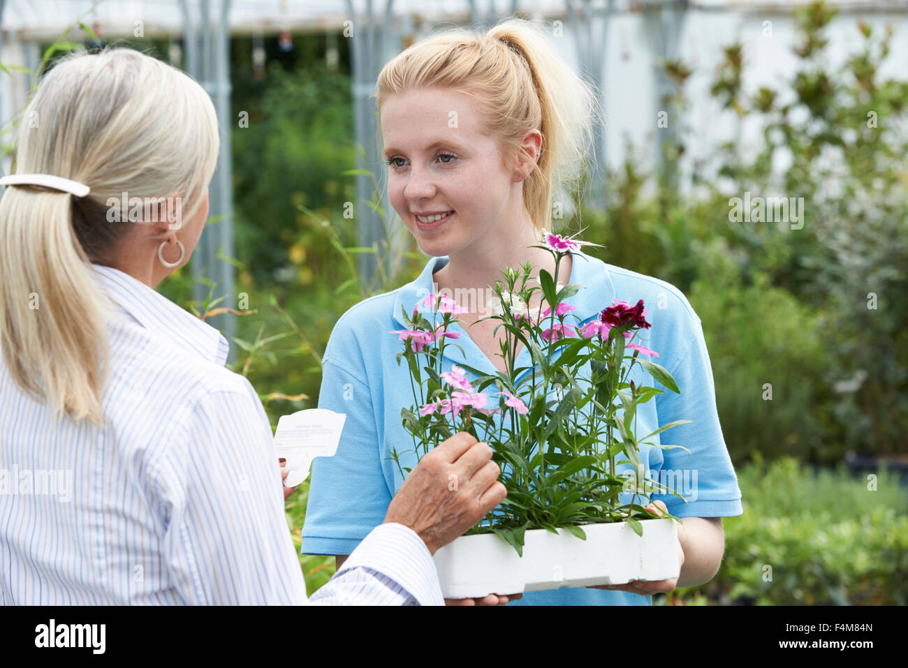 Staff Giving Plant Advice To Female Customer At Garden Center Stock Photo