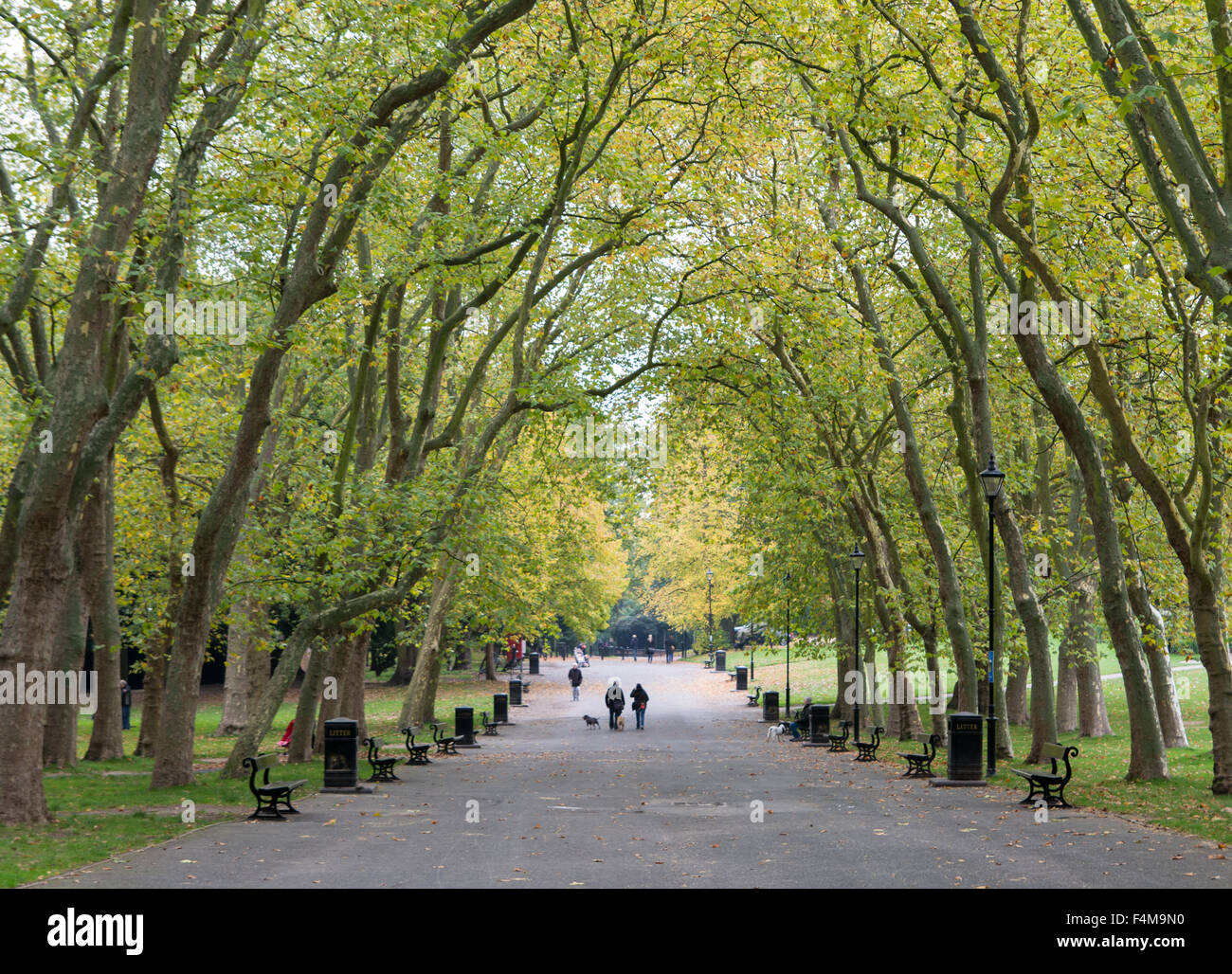 The main walkway of Crystal Palace Park, London Stock Photo Alamy