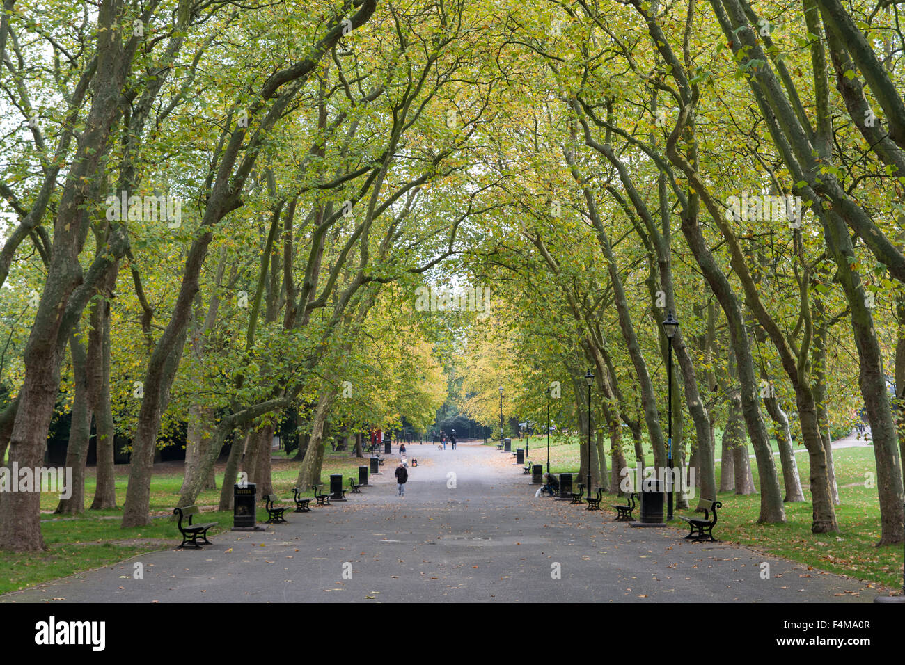 Tree-lined main walkway of Crystal Palace Park, London. Stock Photo