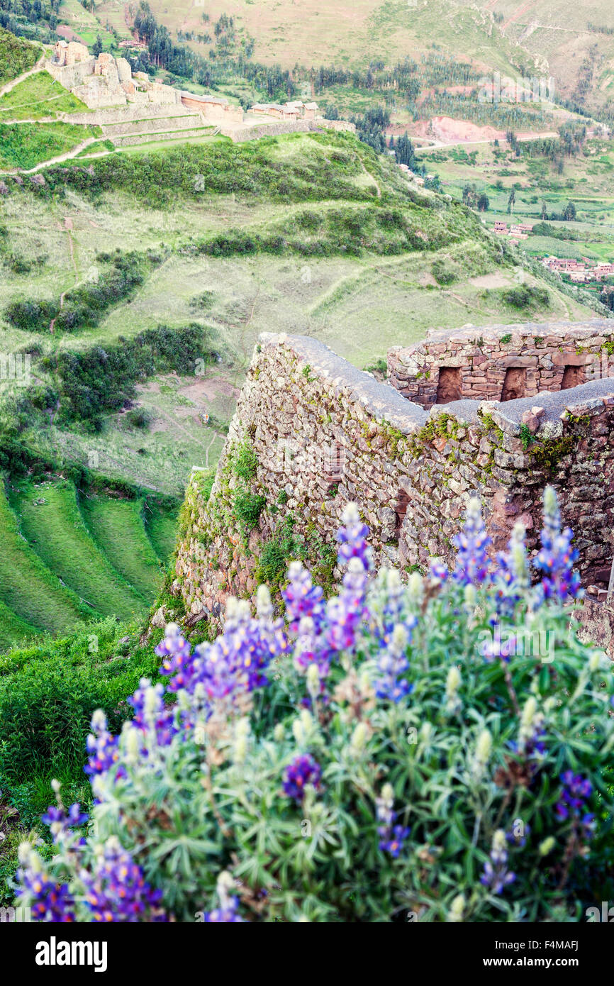 Terraces in Pisac ruins in Sacred Valley Stock Photo