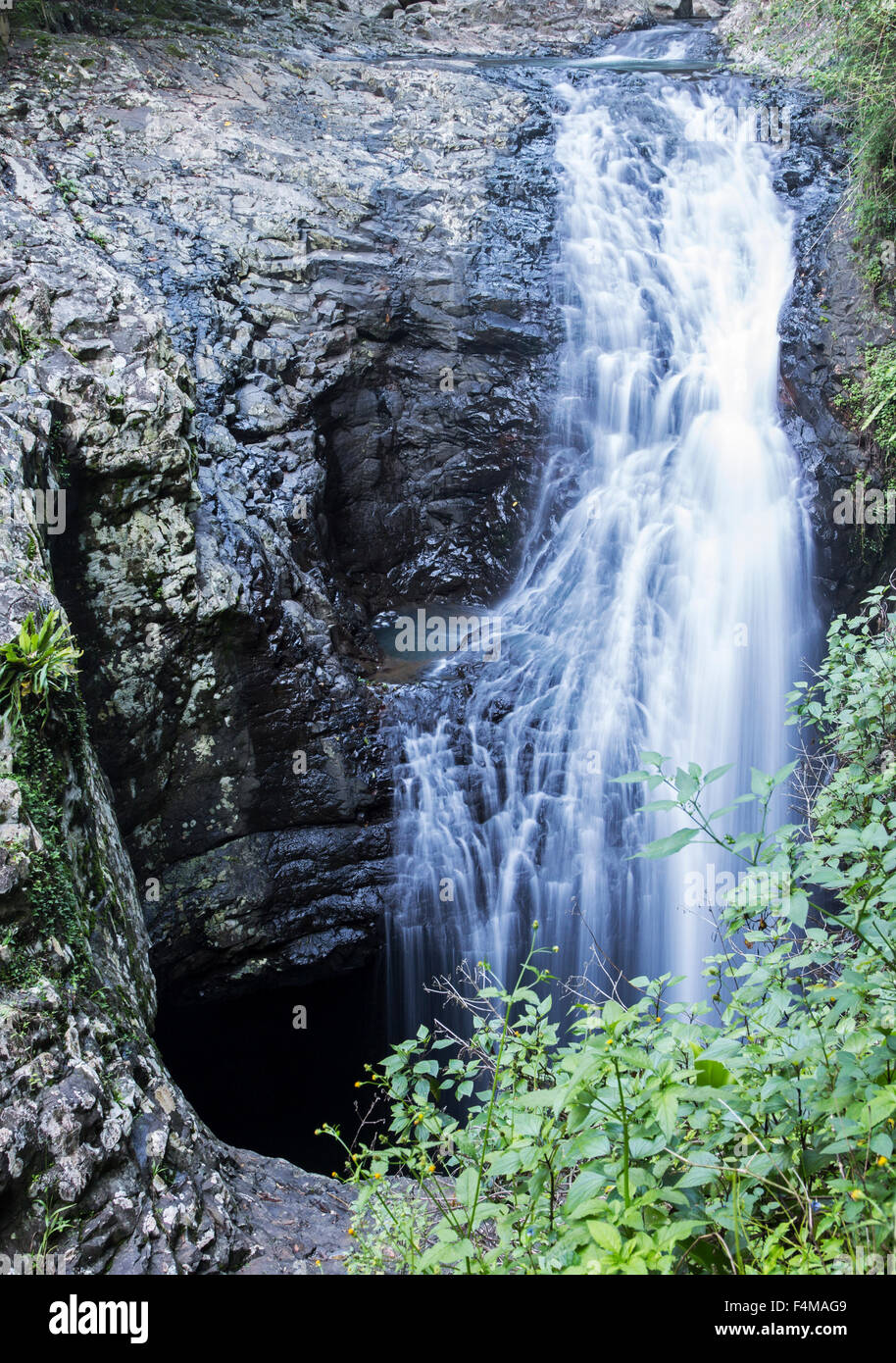 Waterfalls in Springbrook National Park, Queensland, Australia Stock Photo