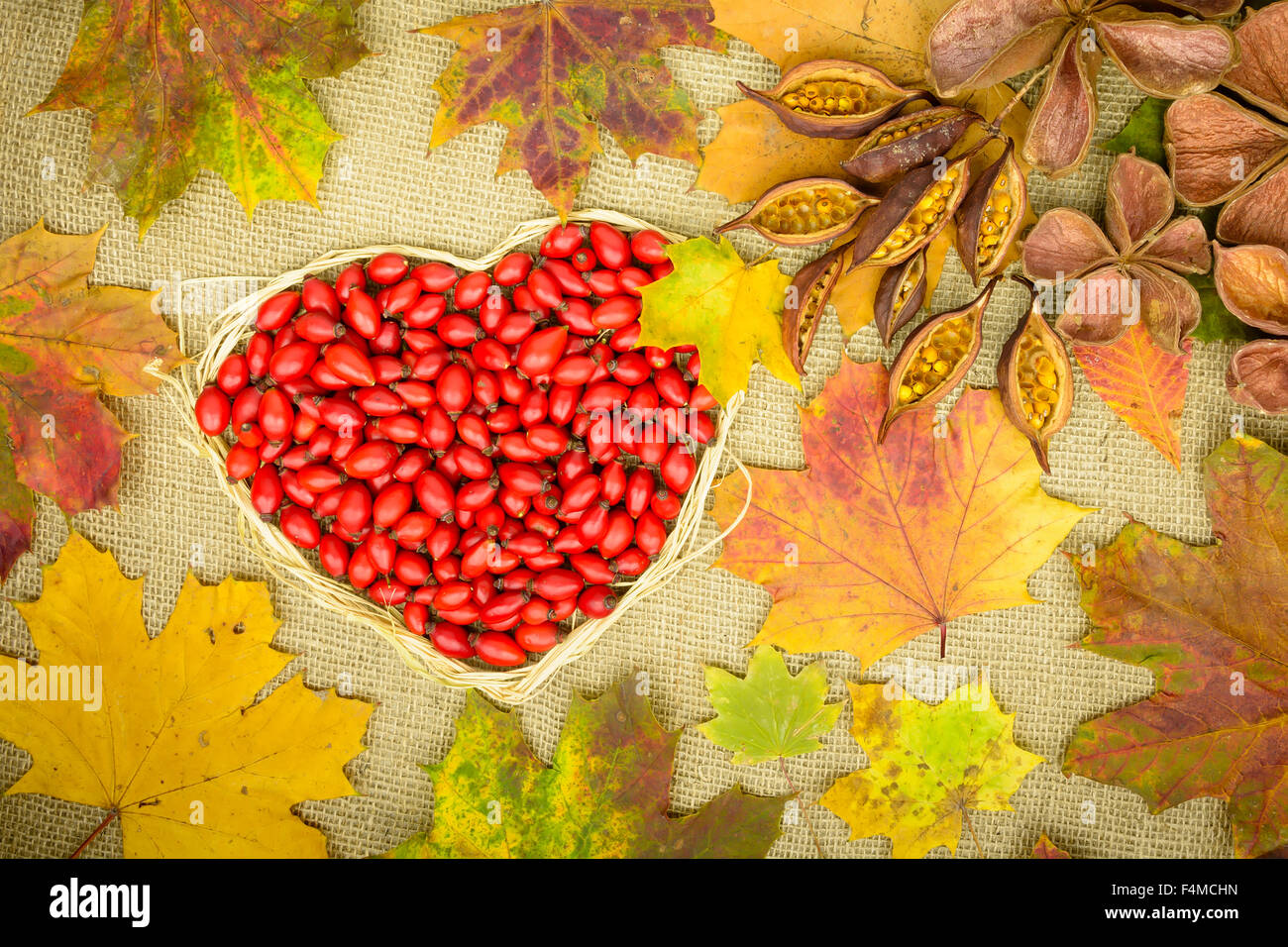 Hearty greetings autumn with rose hip, land lotus, fallen leaves and brachychiton natur on jute background Stock Photo