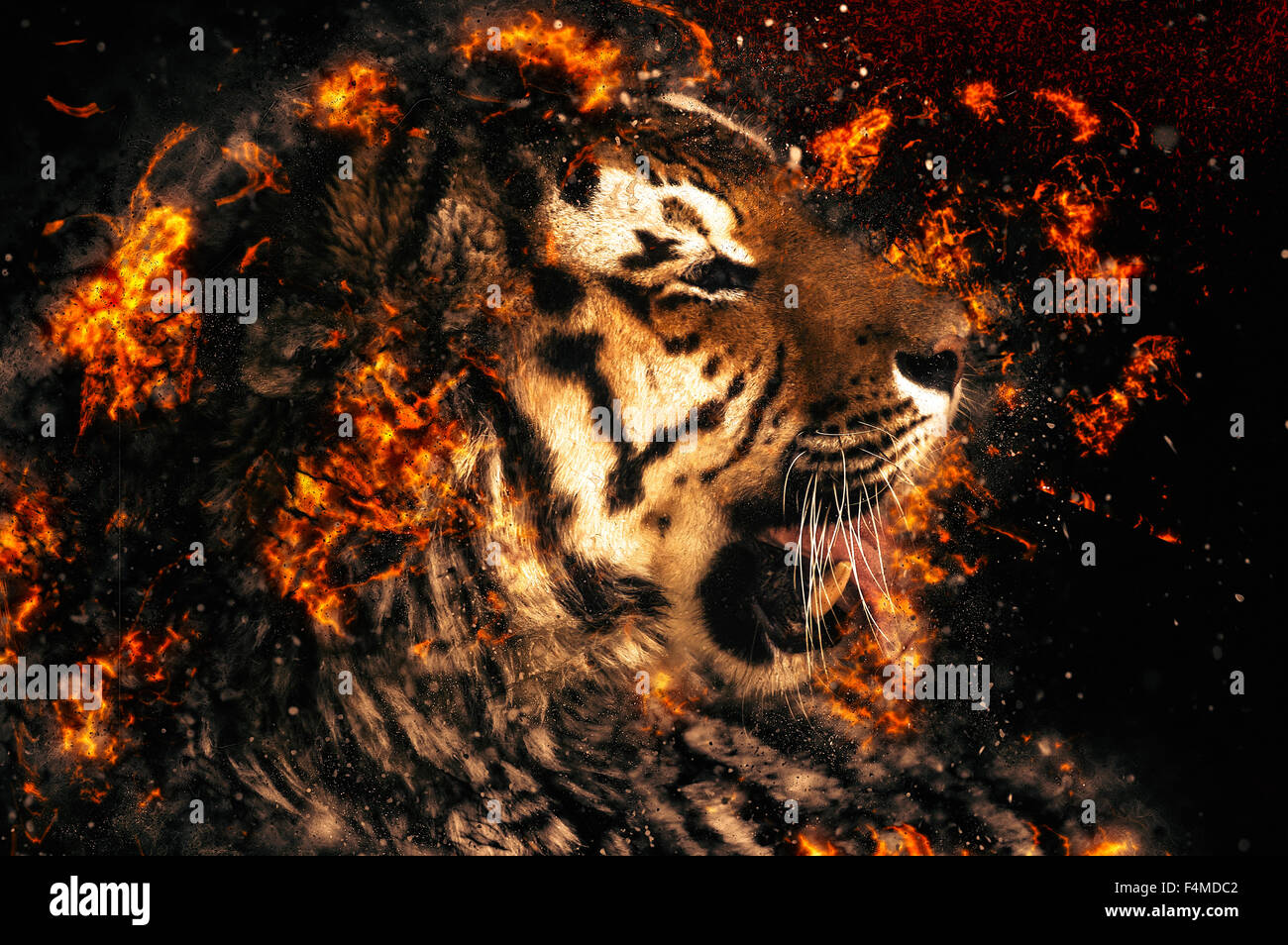 Beautiful Asian tiger, fire illustration Stock Photo