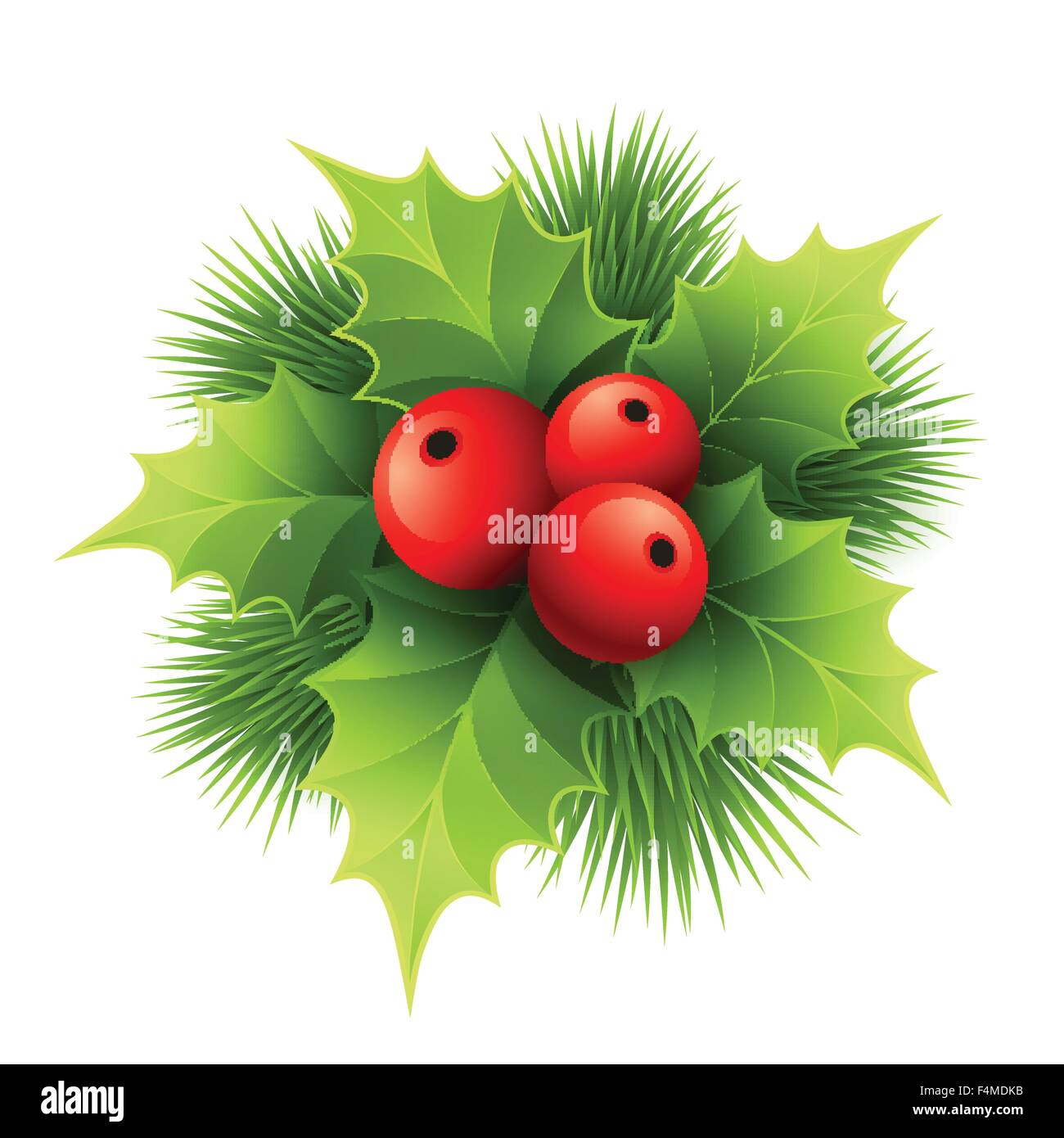 Vector Christmas holly with berries. Vector illustration Stock Vector ...
