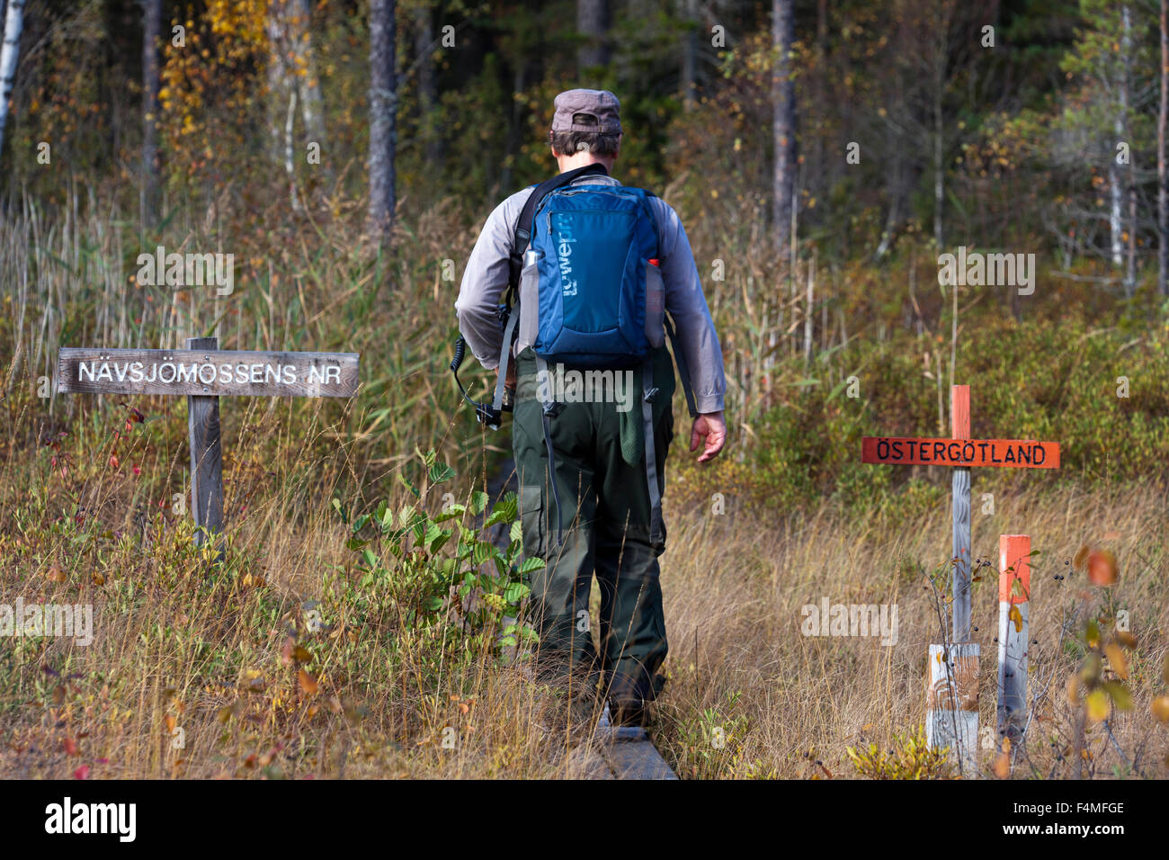 A man walking on a hiking trail in the forest with backpack Stock Photo