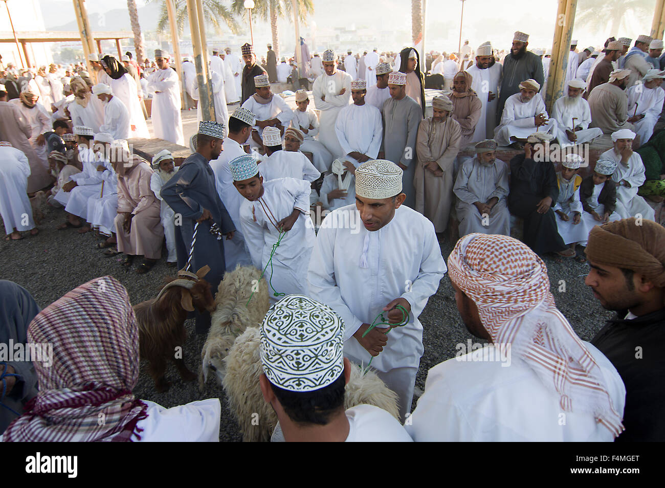 Nizwa market day. Once the capital of Oman the now modern city of Nizwah is  famous for it's lively souq and livestock market Stock Photo - Alamy