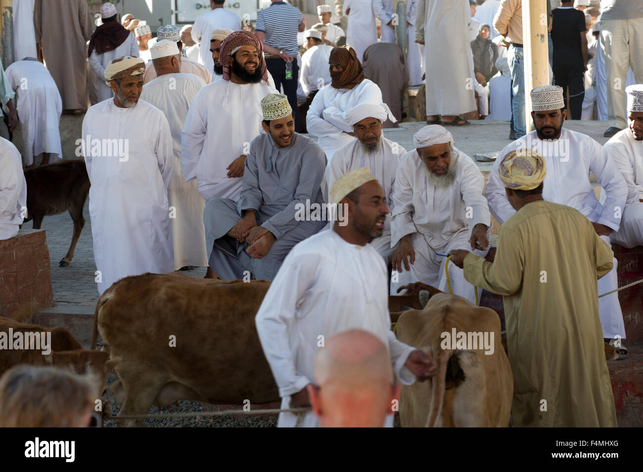 Omani men smiling and laughing watching livestock for sale at the Nizwah Thursday market day. Stock Photo