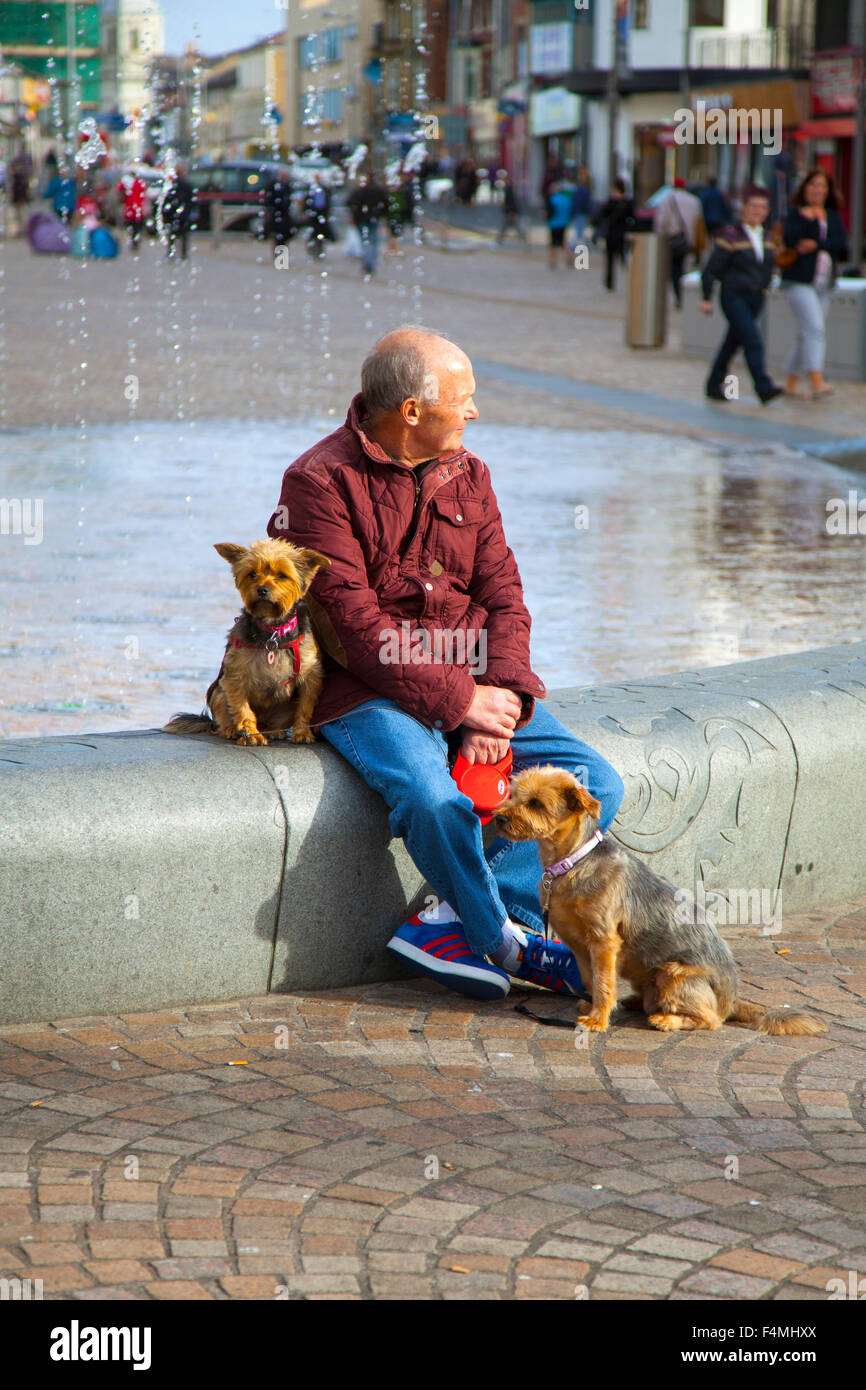 A senior citizen sitting on a bench with his two dog's in St Johns Square, Blackpool, Lancashire, UK Stock Photo