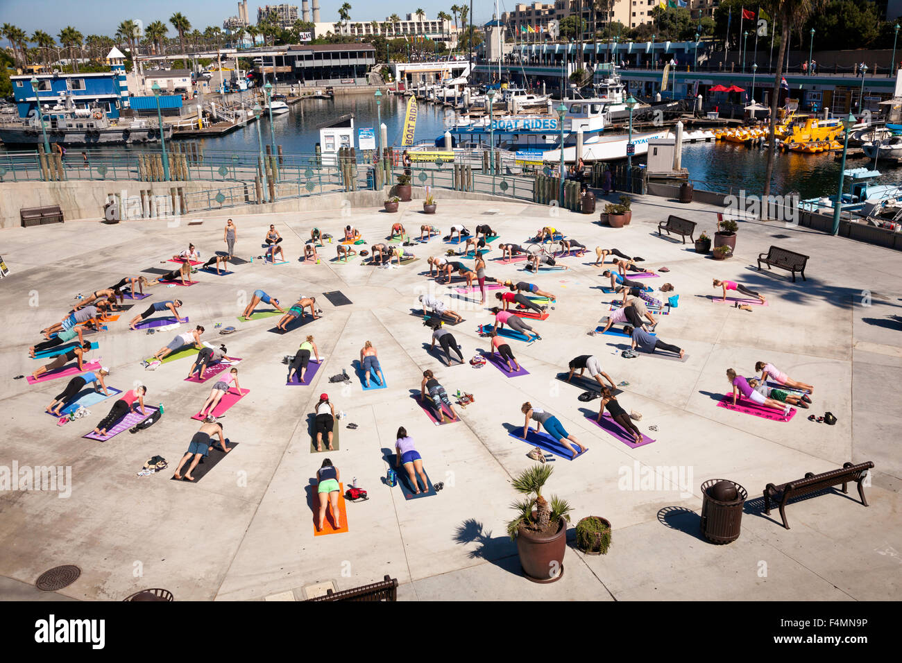 Large group of people performing Yoga at Redondo Beach;California;USA;America Stock Photo