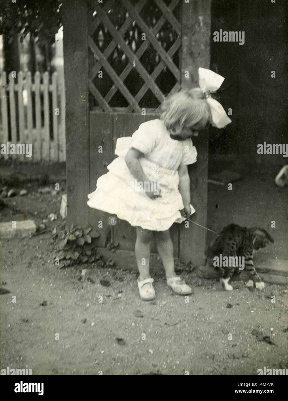Girl with Cat, Denmark Stock Photo Alamy