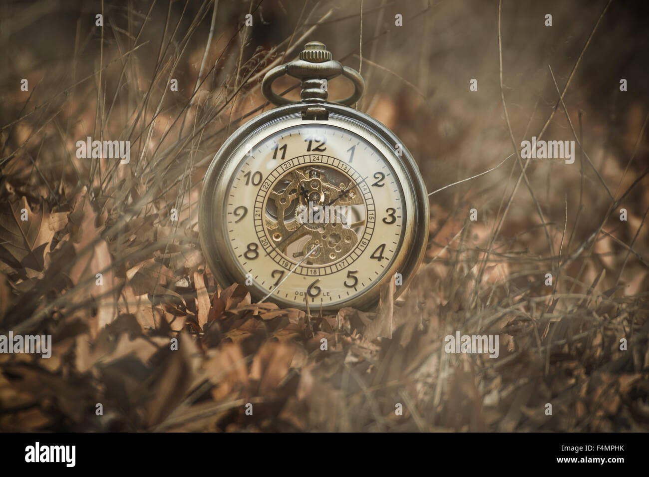 A pocket watch on leaves Stock Photo