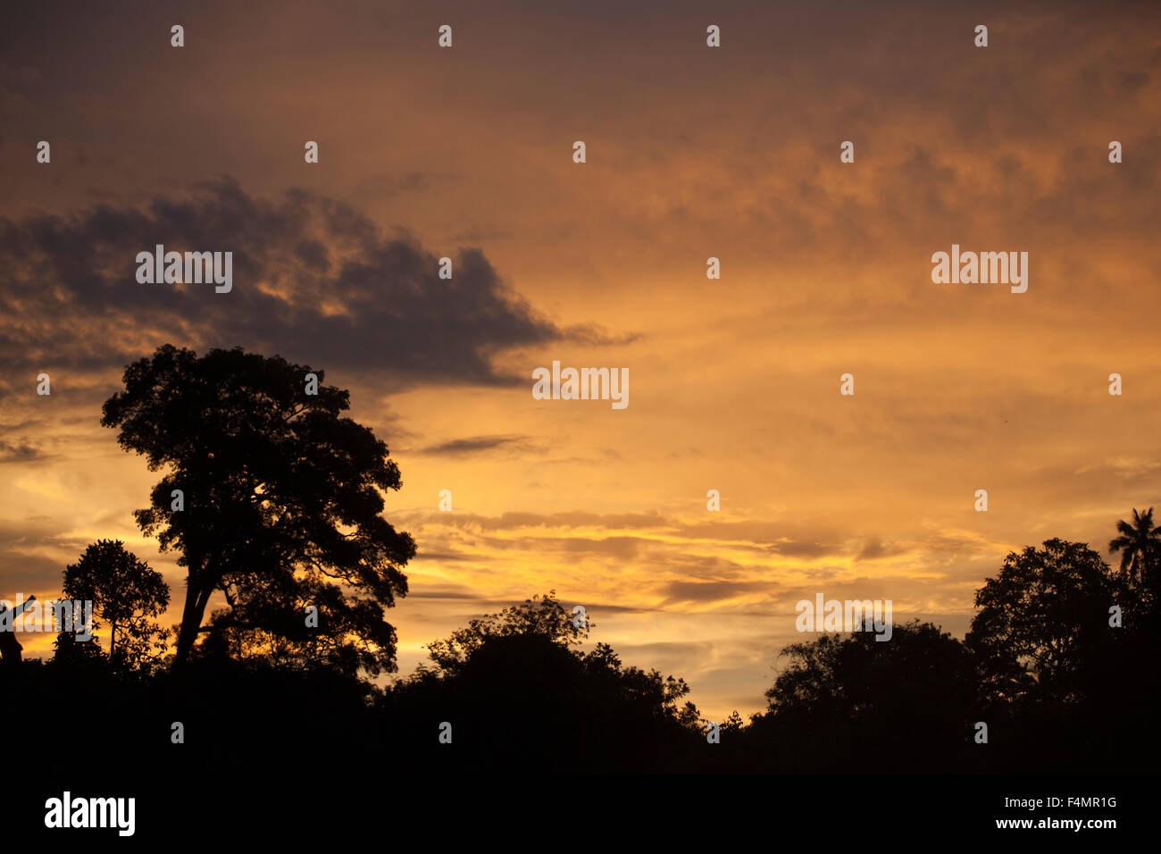 Sunset in Borneo Stock Photo