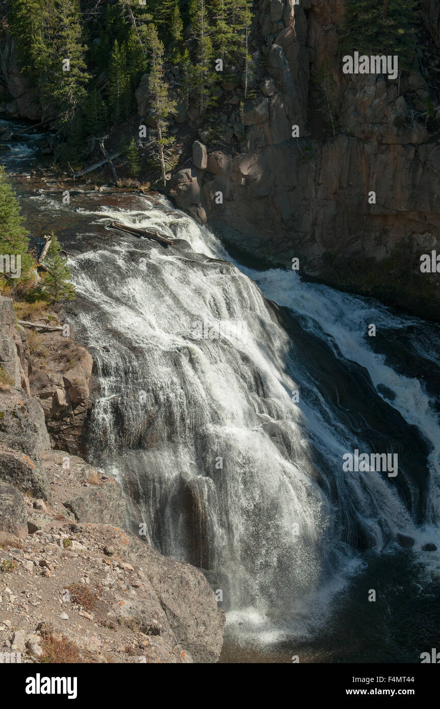 Gibbon Falls, Yellowstone NP, Wyoming, USA Stock Photo