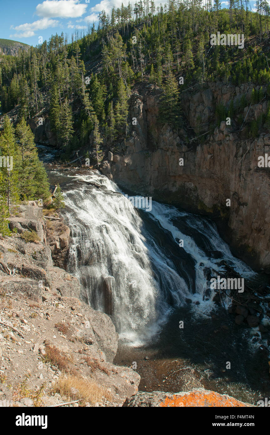 Gibbon Falls, Yellowstone NP, Wyoming, USA Stock Photo
