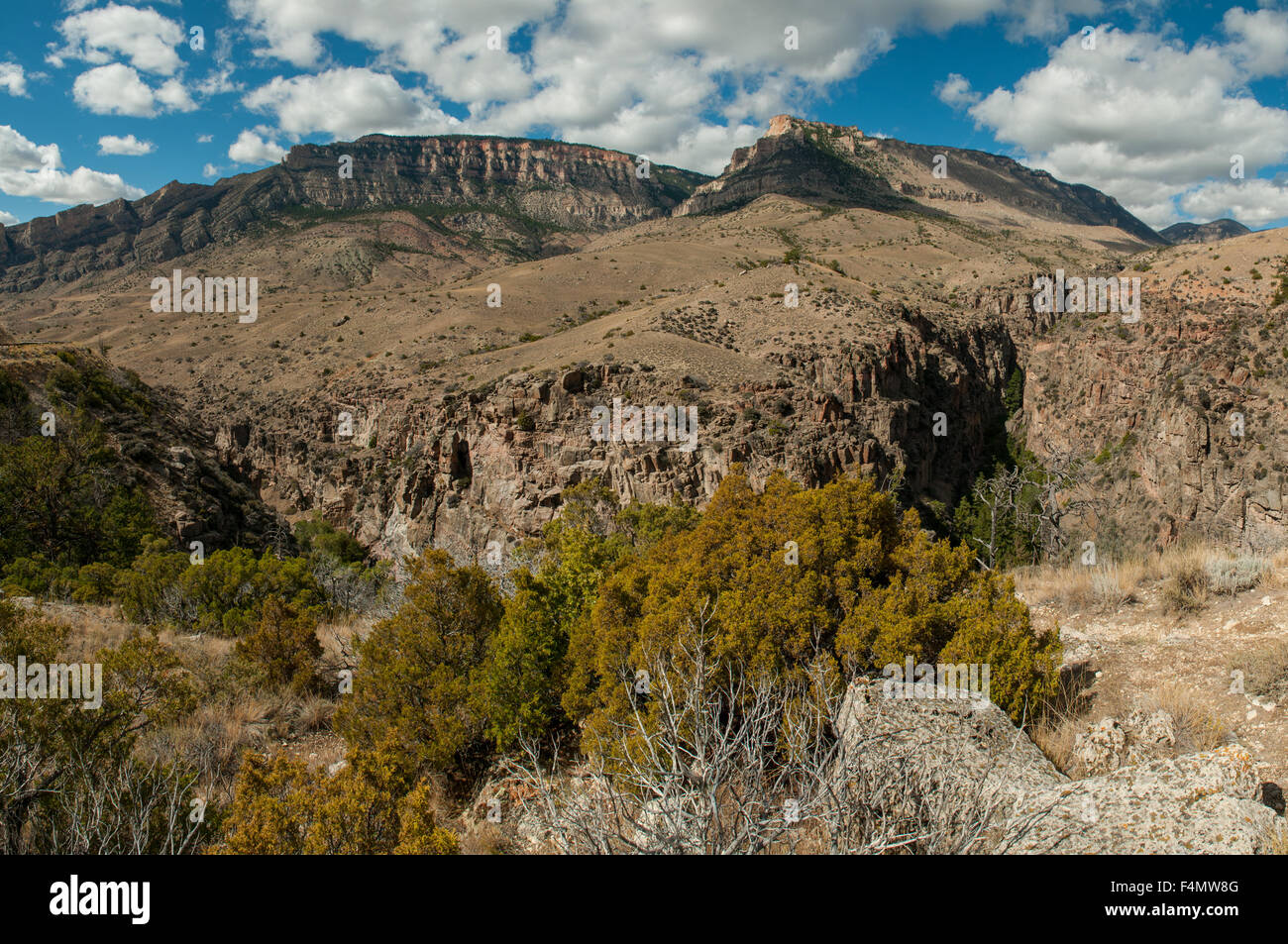 Granite Creek Canyon Panorama, Bighorn Mountains, Wyoming, USA Stock