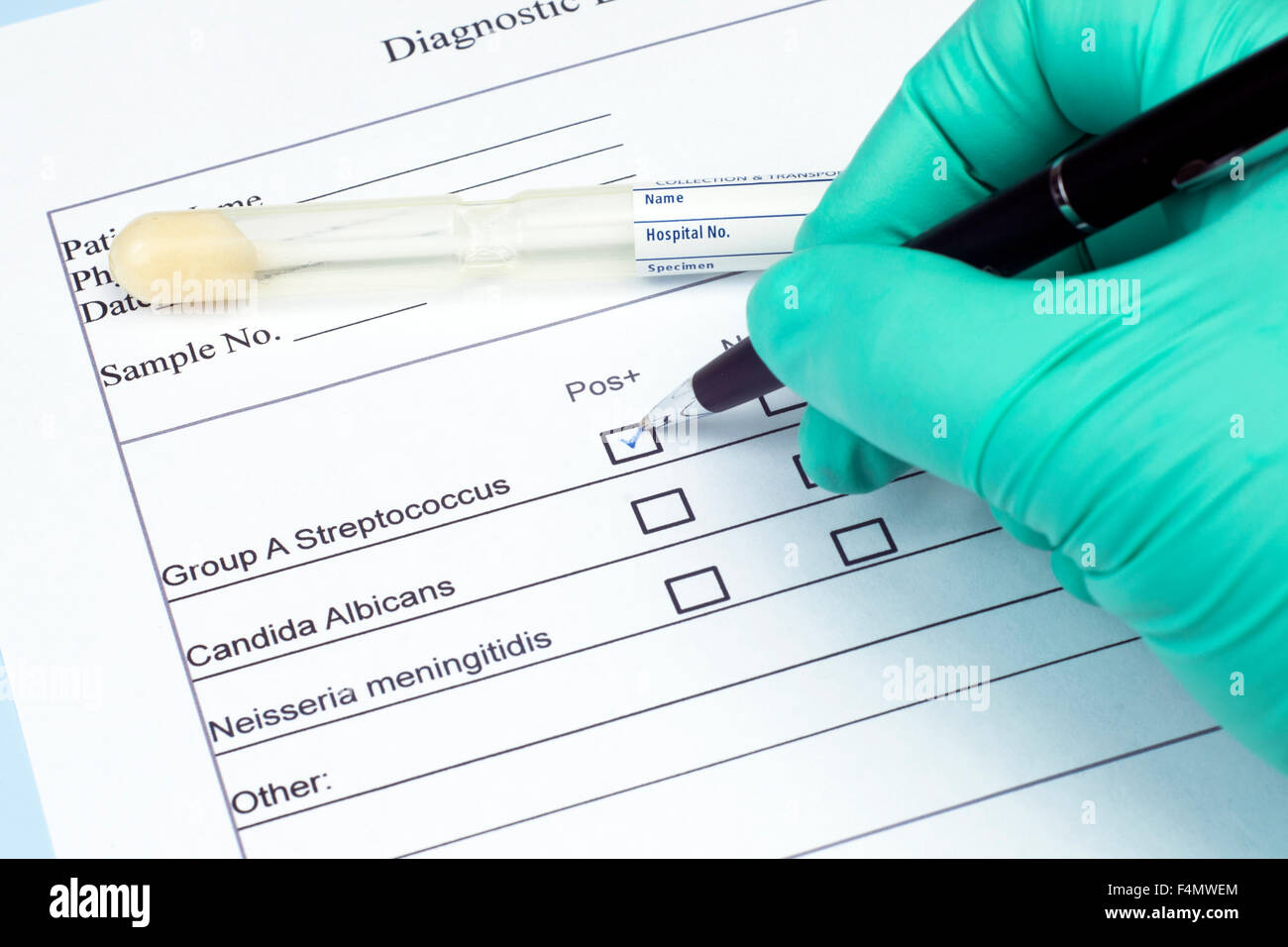 Diagnostic culture swab and holder with streptococcus group A box checked. Stock Photo