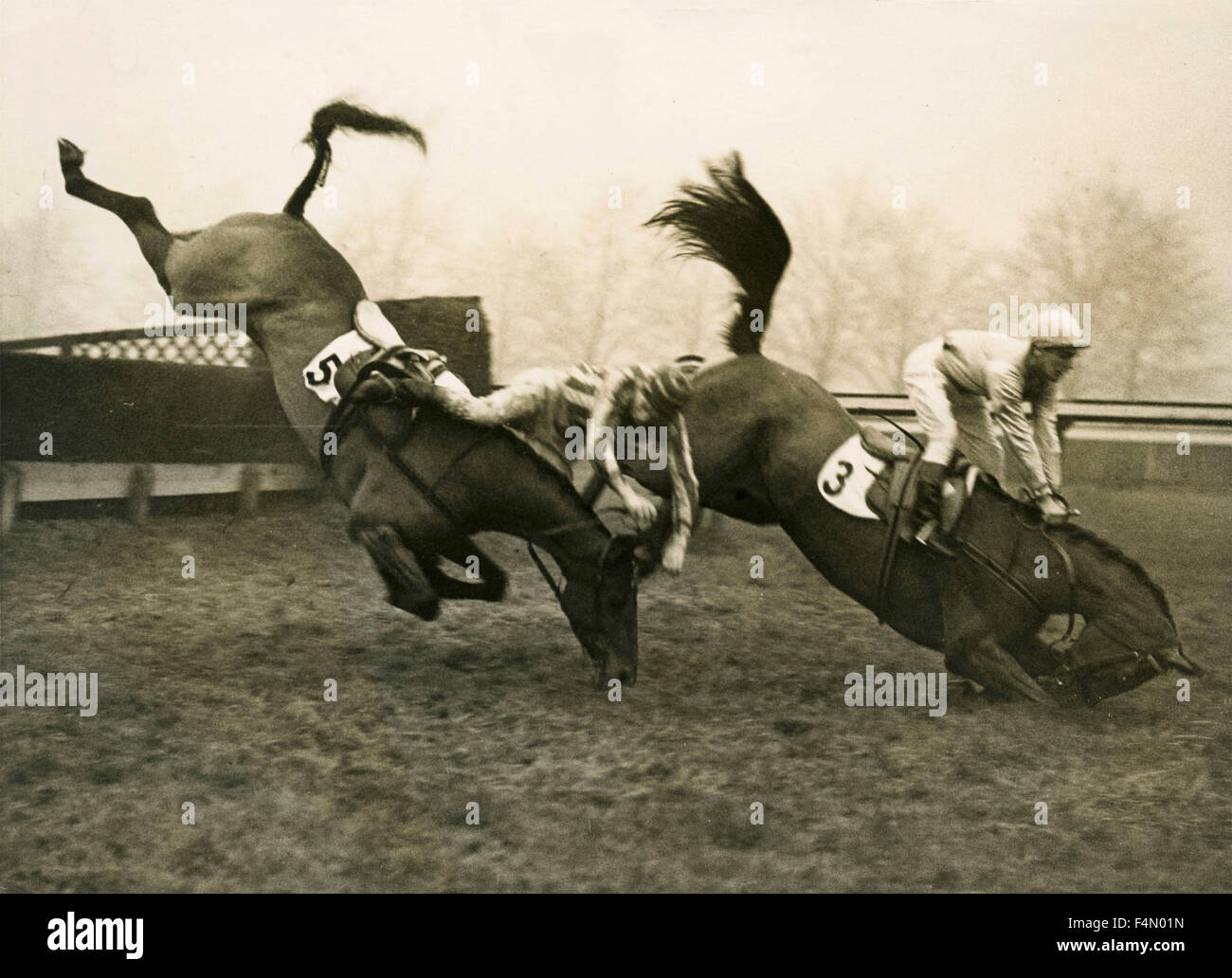 Two horses fall after a jump, UK Stock Photo - Alamy