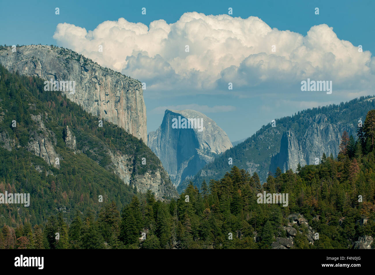 El Capitan and Half Dome, Yosemite NP, California, USA Stock Photo