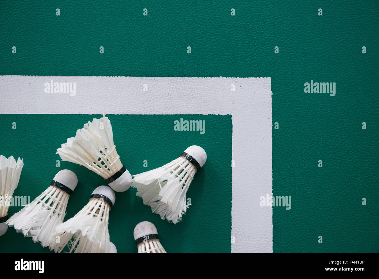 used shuttlecocks inside the edge of a badminton courts Stock Photo