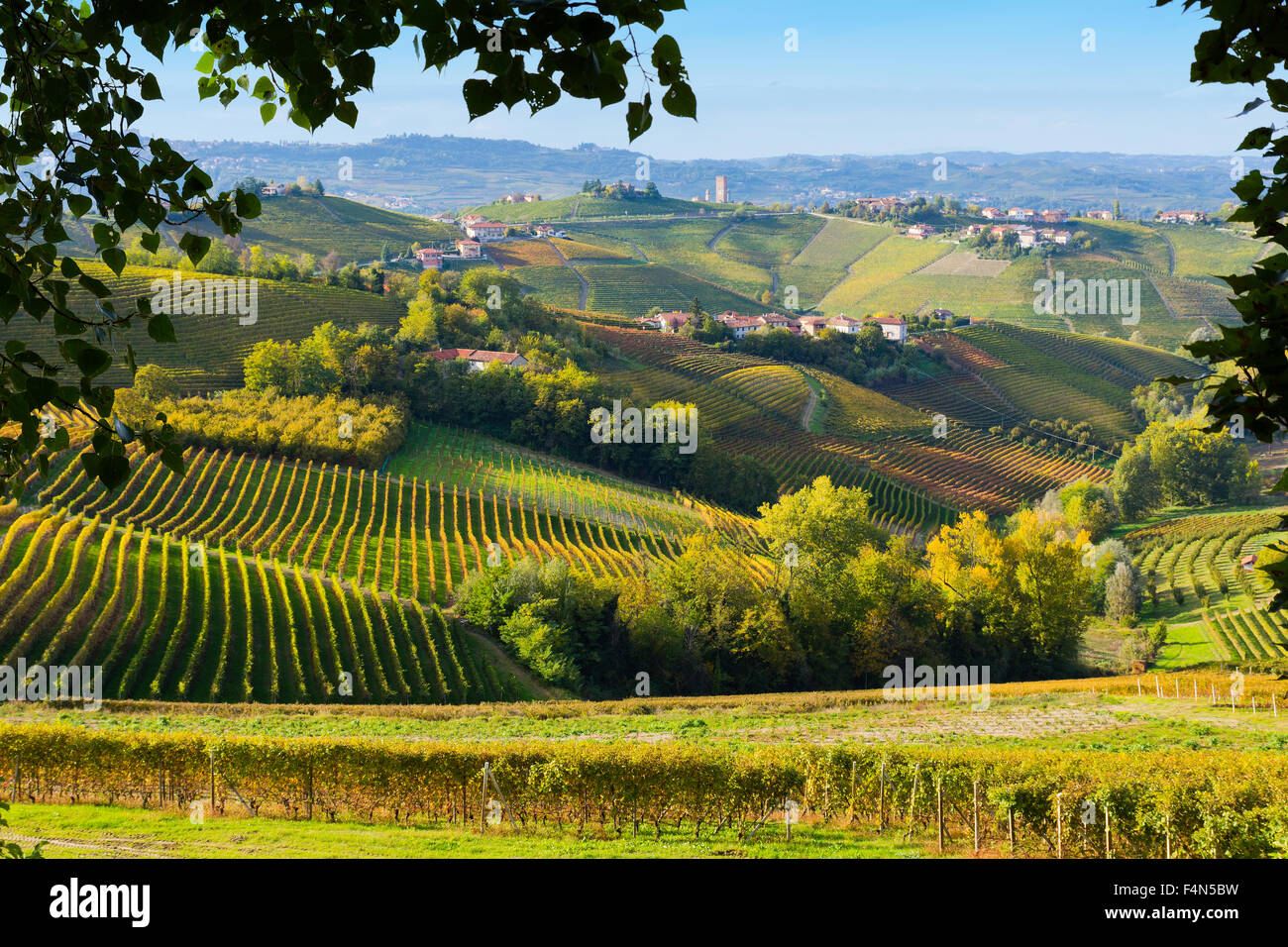 Piedmont, Italy, Langhe-Roero and Monferrato in the UNESCO World Heritage List: colourful vineyards. Stock Photo