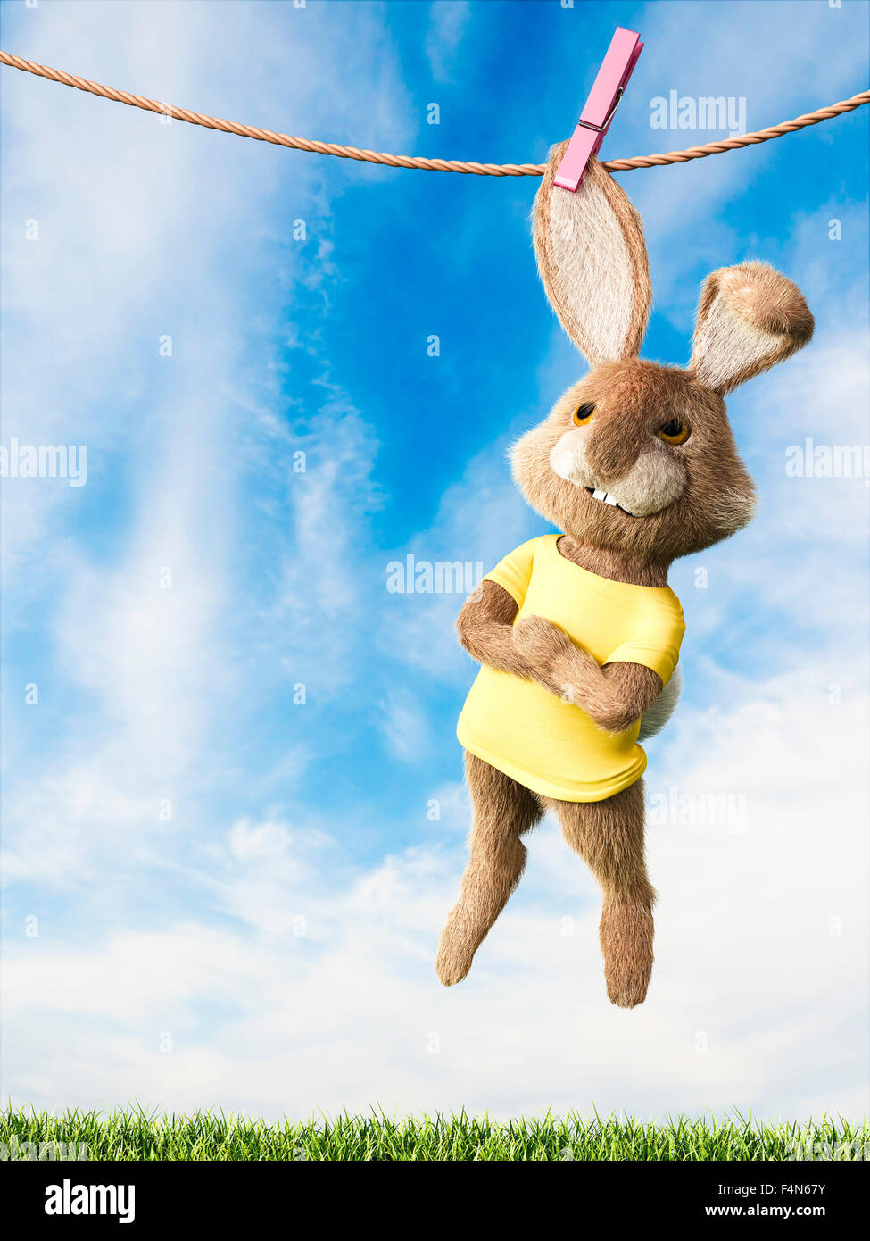 Bunny hanging on clothes line hires stock photography and images Alamy