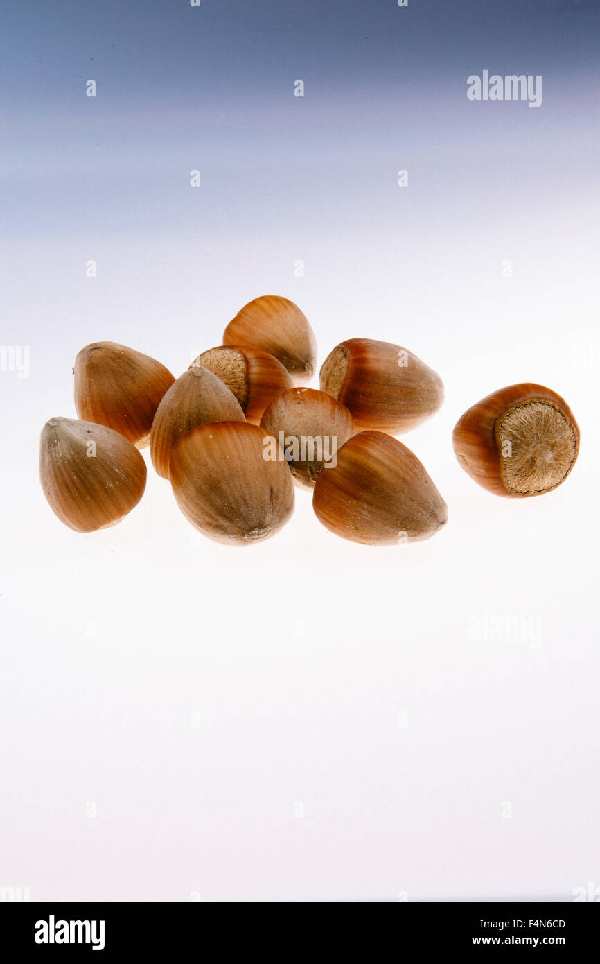 Hazelnuts, white background Stock Photo