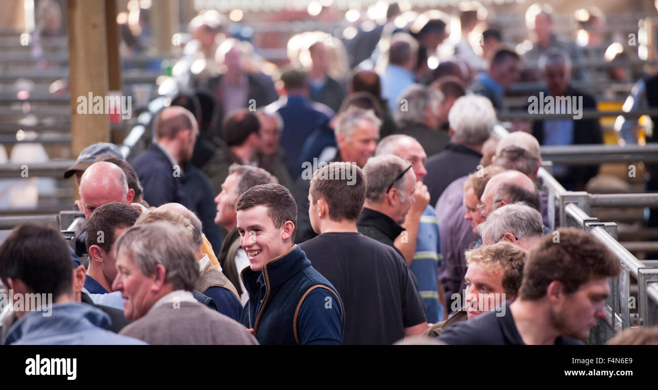 Crowd of farmers watching a sheep sale at Hawes livestock auction mart ...