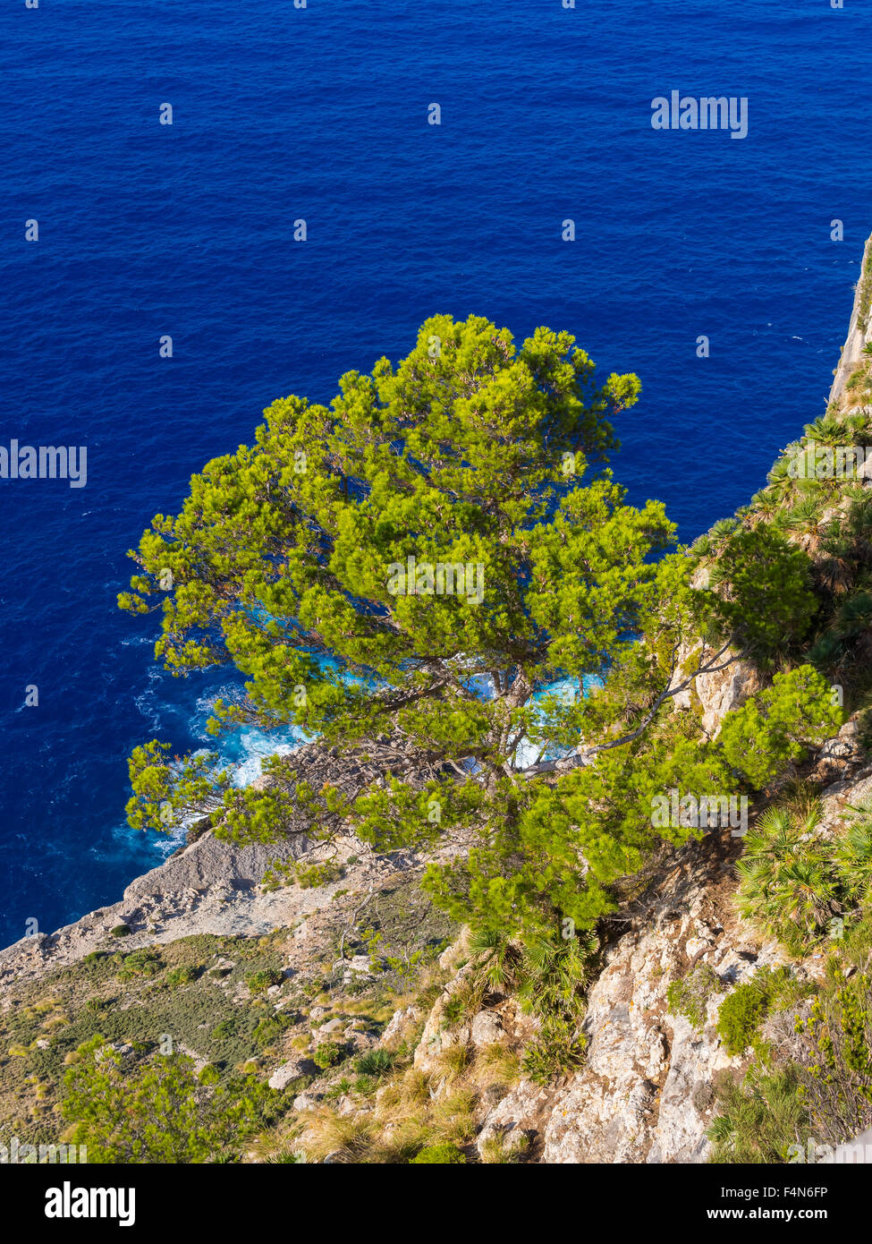Spain, Mallorca, Cap de Fermentor, View down from Mirador d'es Colomer Stock Photo