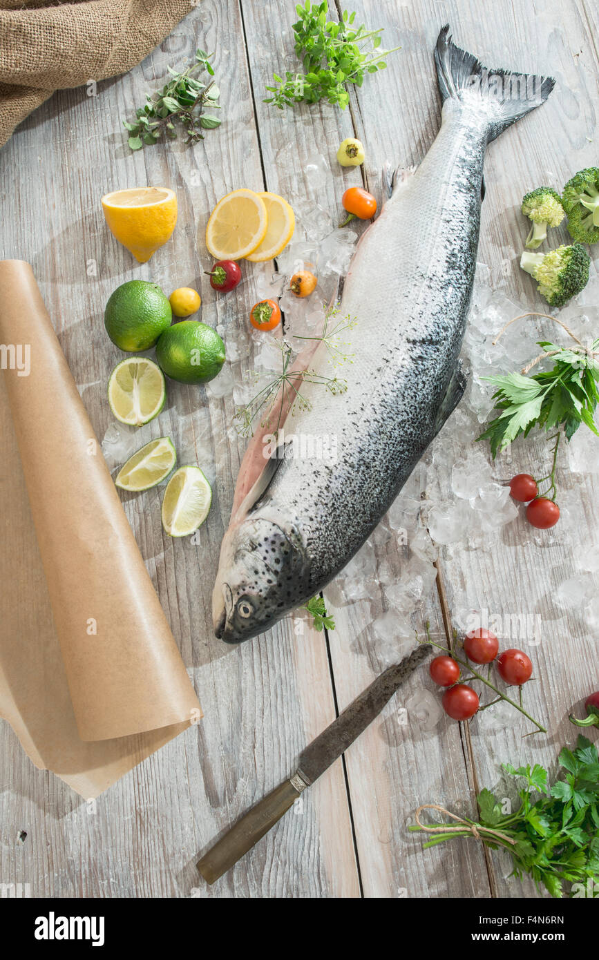 Raw salmon with ice and vegetables Stock Photo - Alamy
