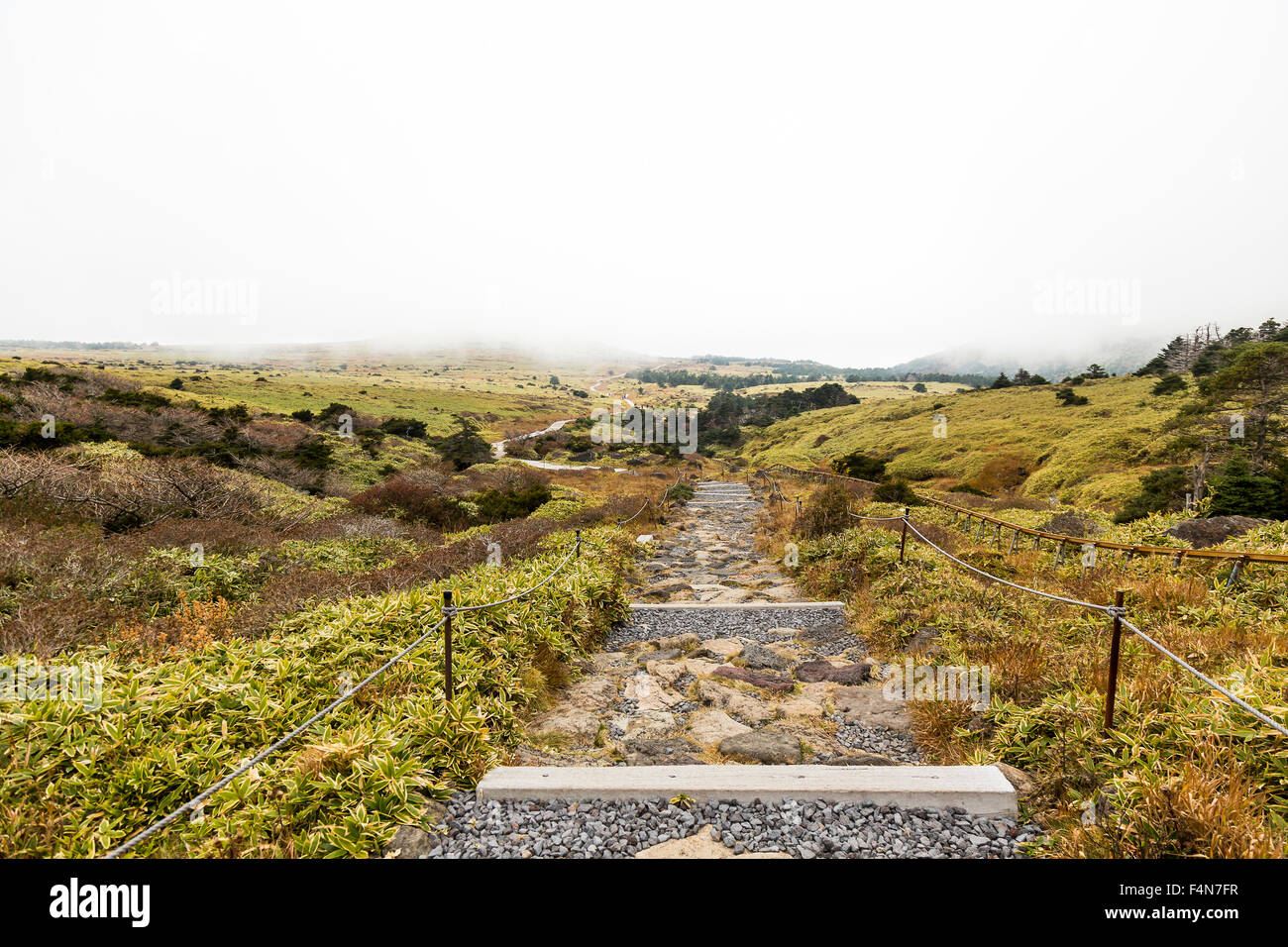 Hiking Trail in Jeju Island Stock Photo Alamy