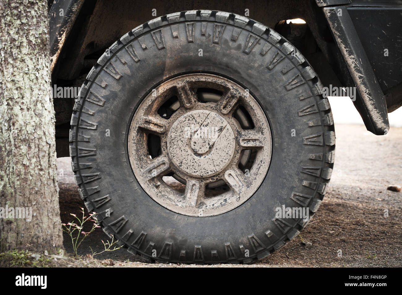 Dirty car wheel stands on rural road near tree Stock Photo