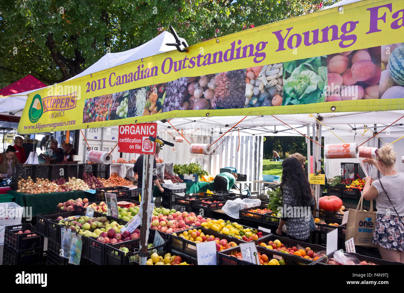 People shopping at Klippers Organics booth at the Vancouver Farmers Market at Trout Lake park in East Vancouver.  Fall 2015 Stock Photo