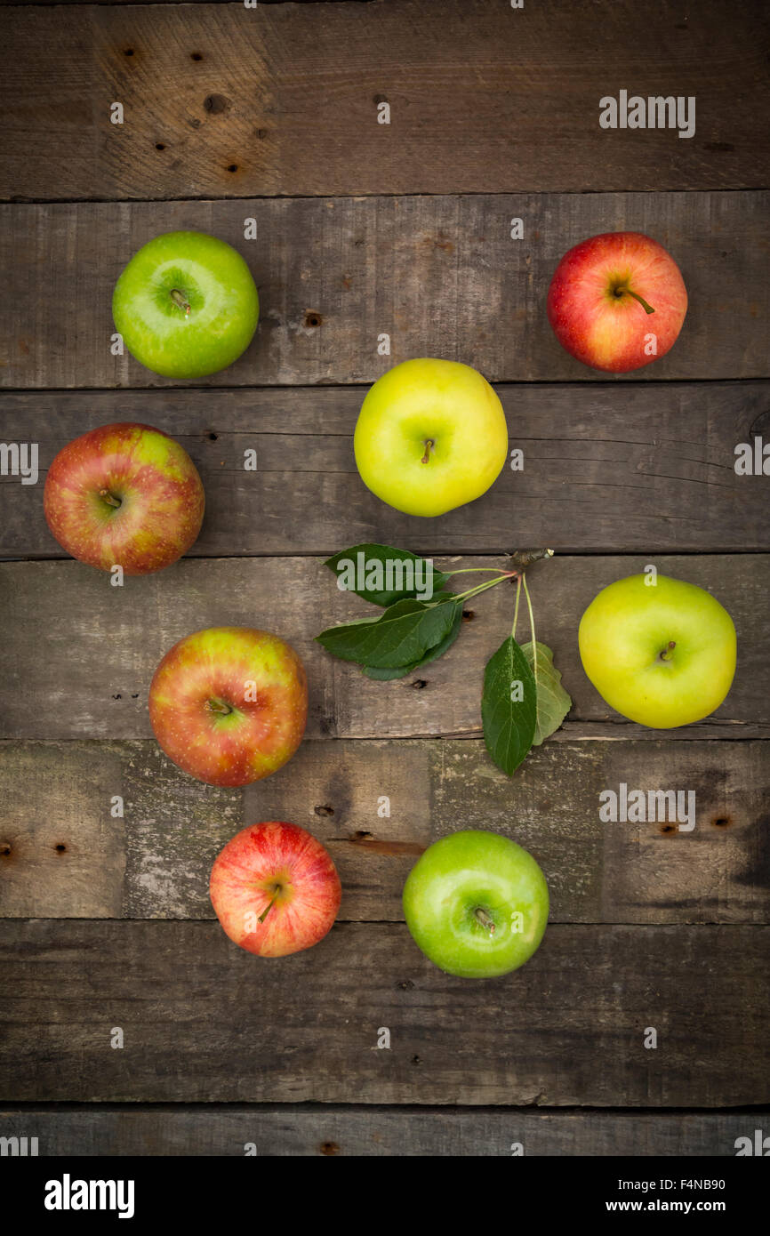 Different apples, Gala, Boskop, Granny Smith and Golden Delicious Stock